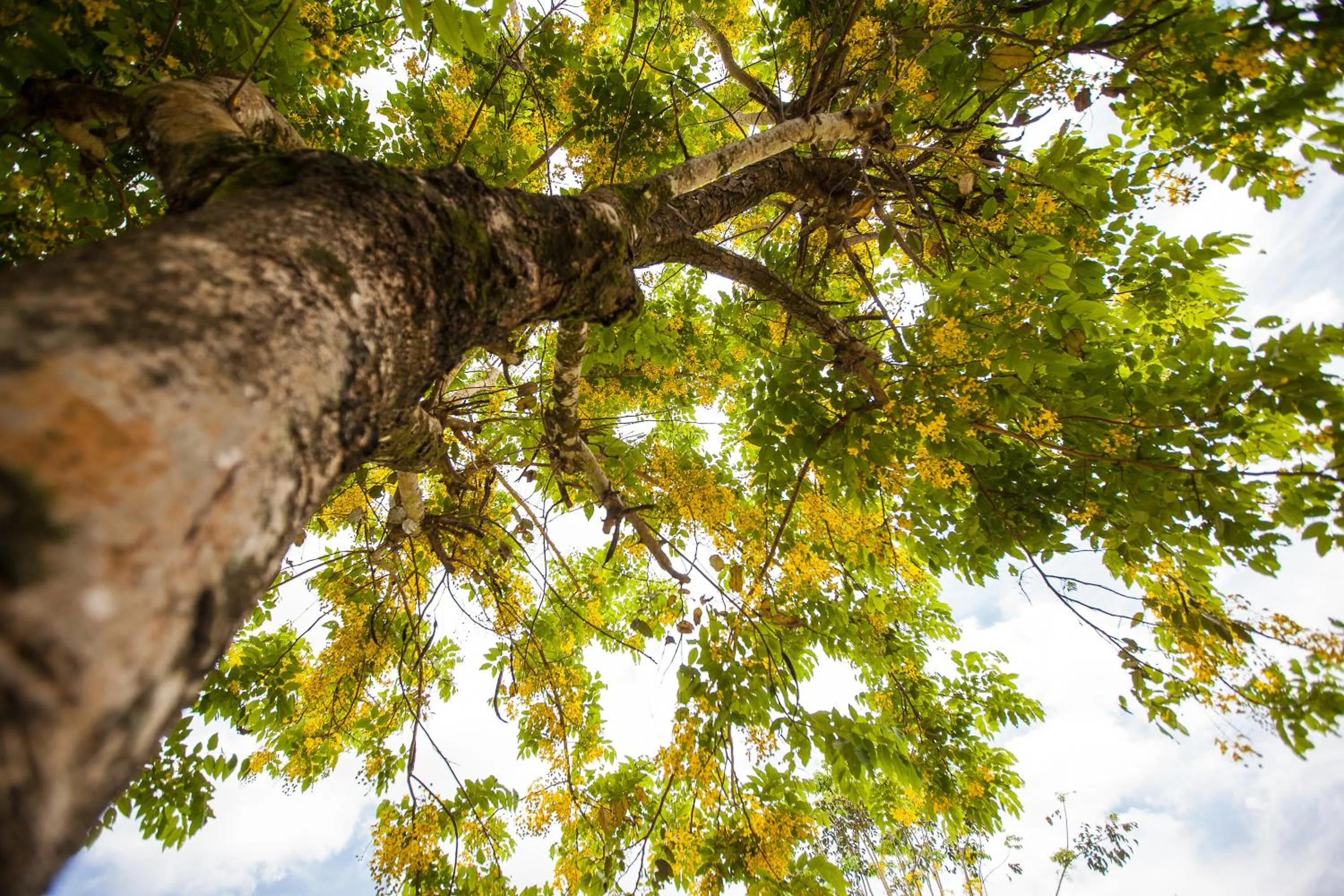 Day in NCNU Campus Inn暨大行旅