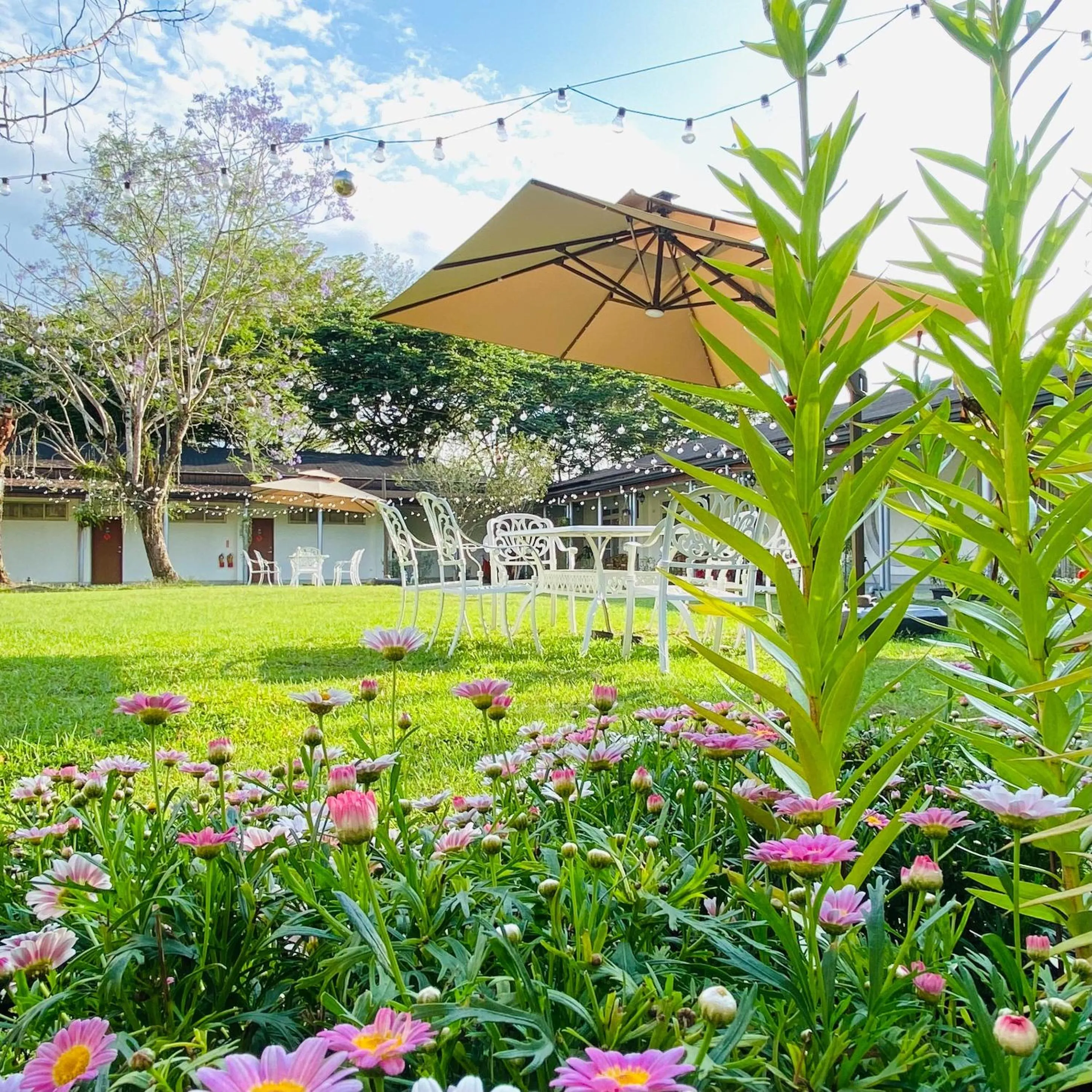 Property building in NCNU Campus Inn暨大行旅