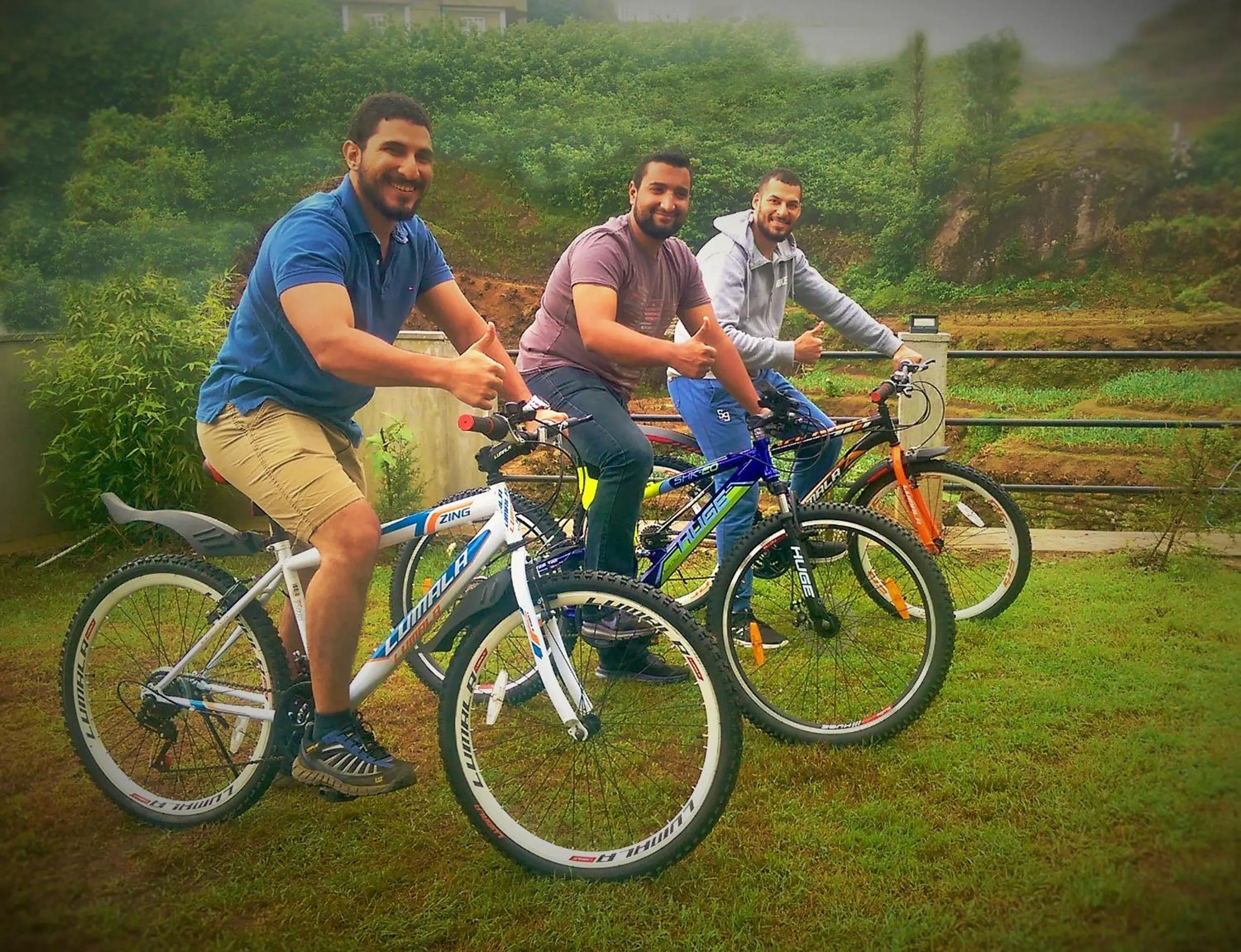 Area and facilities in Lemas Holiday Bungalow