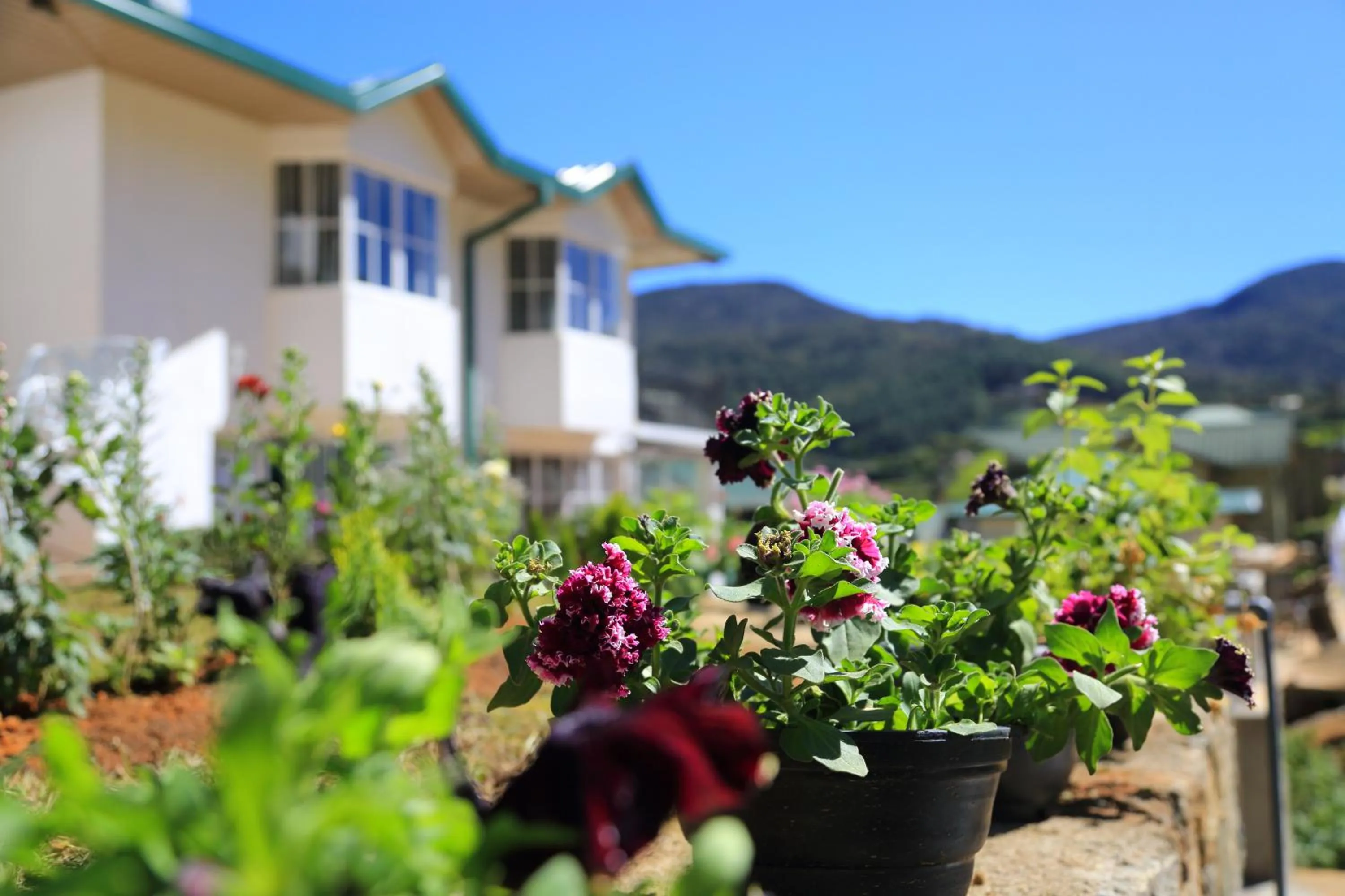 Day in Lemas Holiday Bungalow