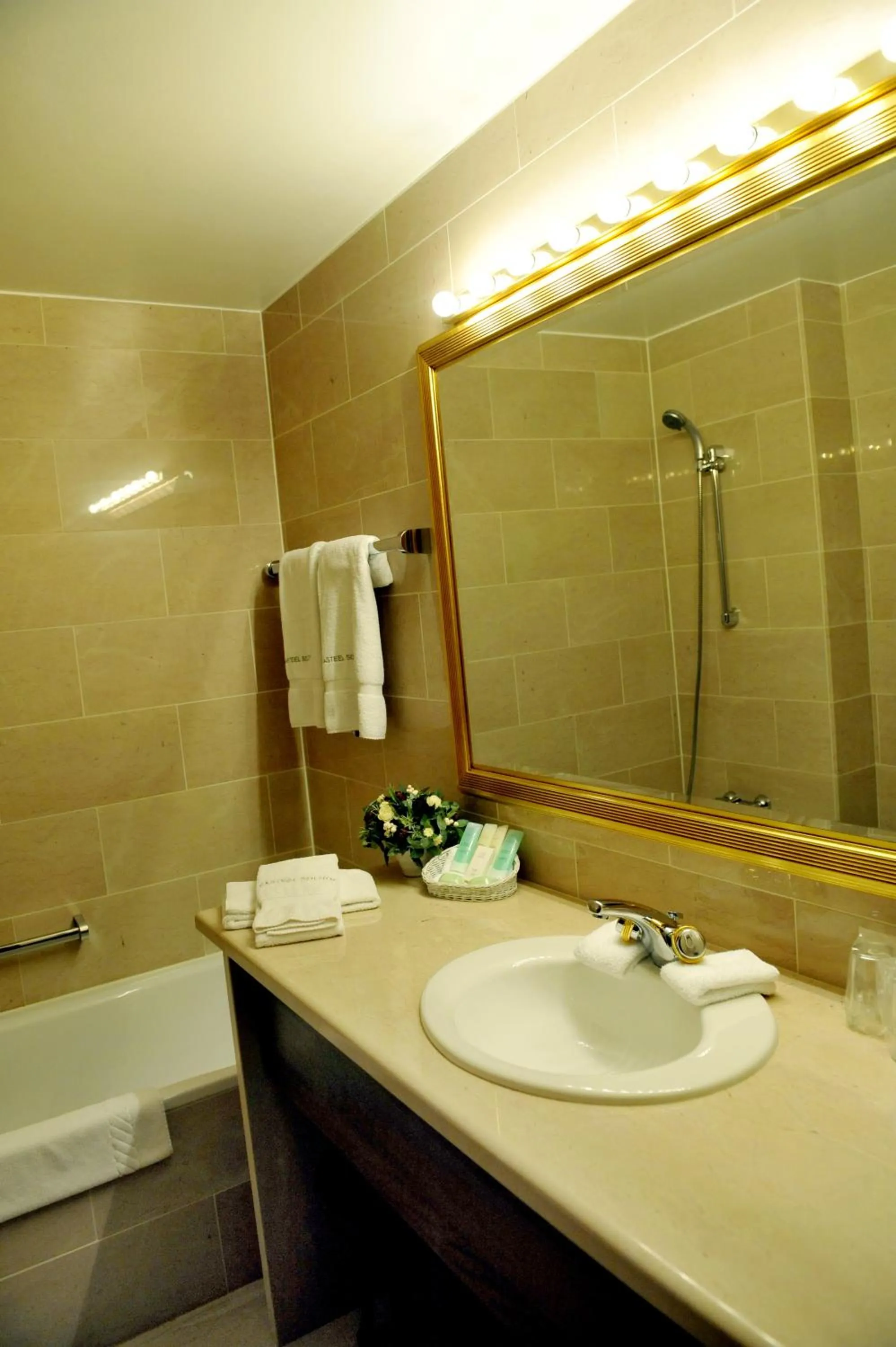 Shower in Hotel Kasteel Solhof