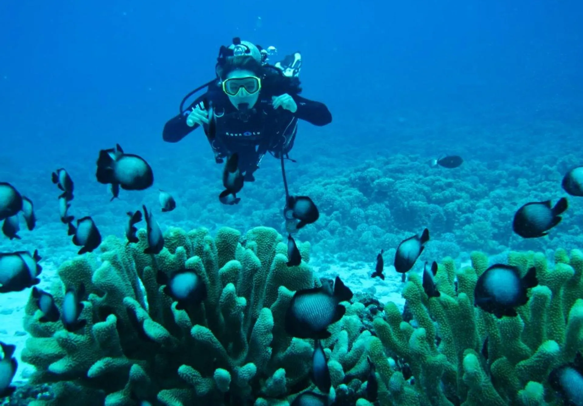 Snorkeling in Xanadu Luxury Villas & Retreat Zanzibar