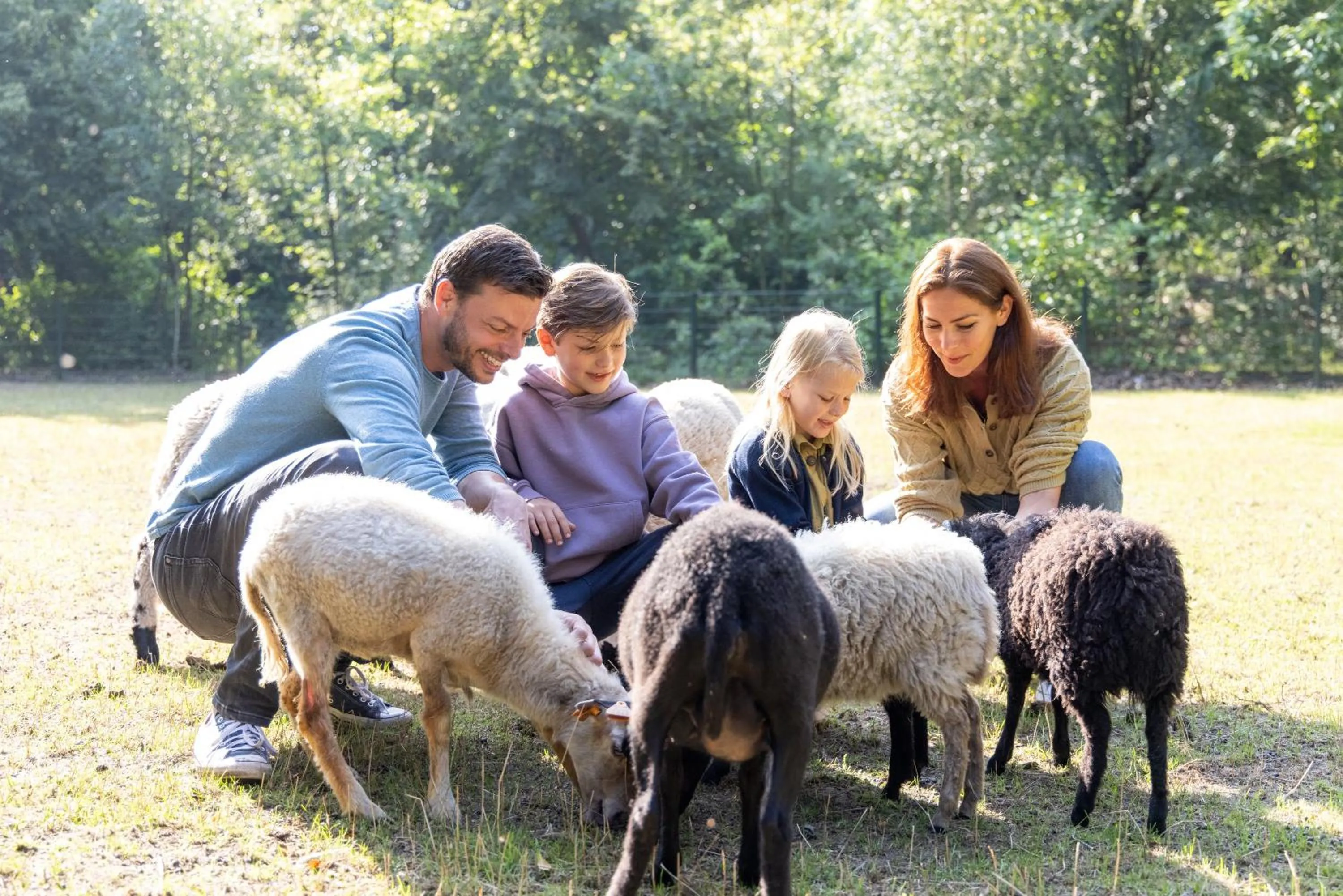 Activities in Sunparks Kempense Meren