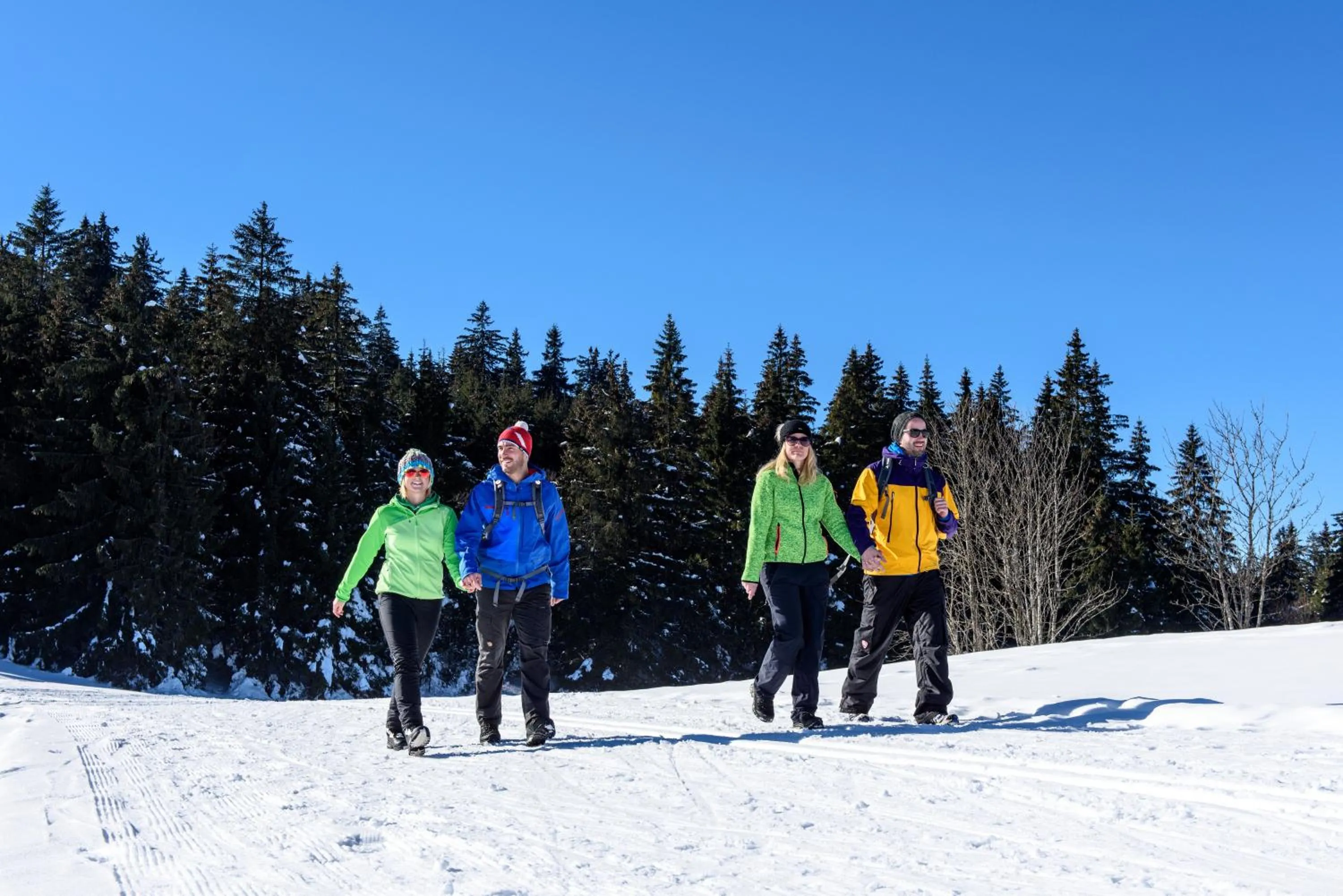 Winter in Höhengasthaus Kolmenhof an der Donauquelle
