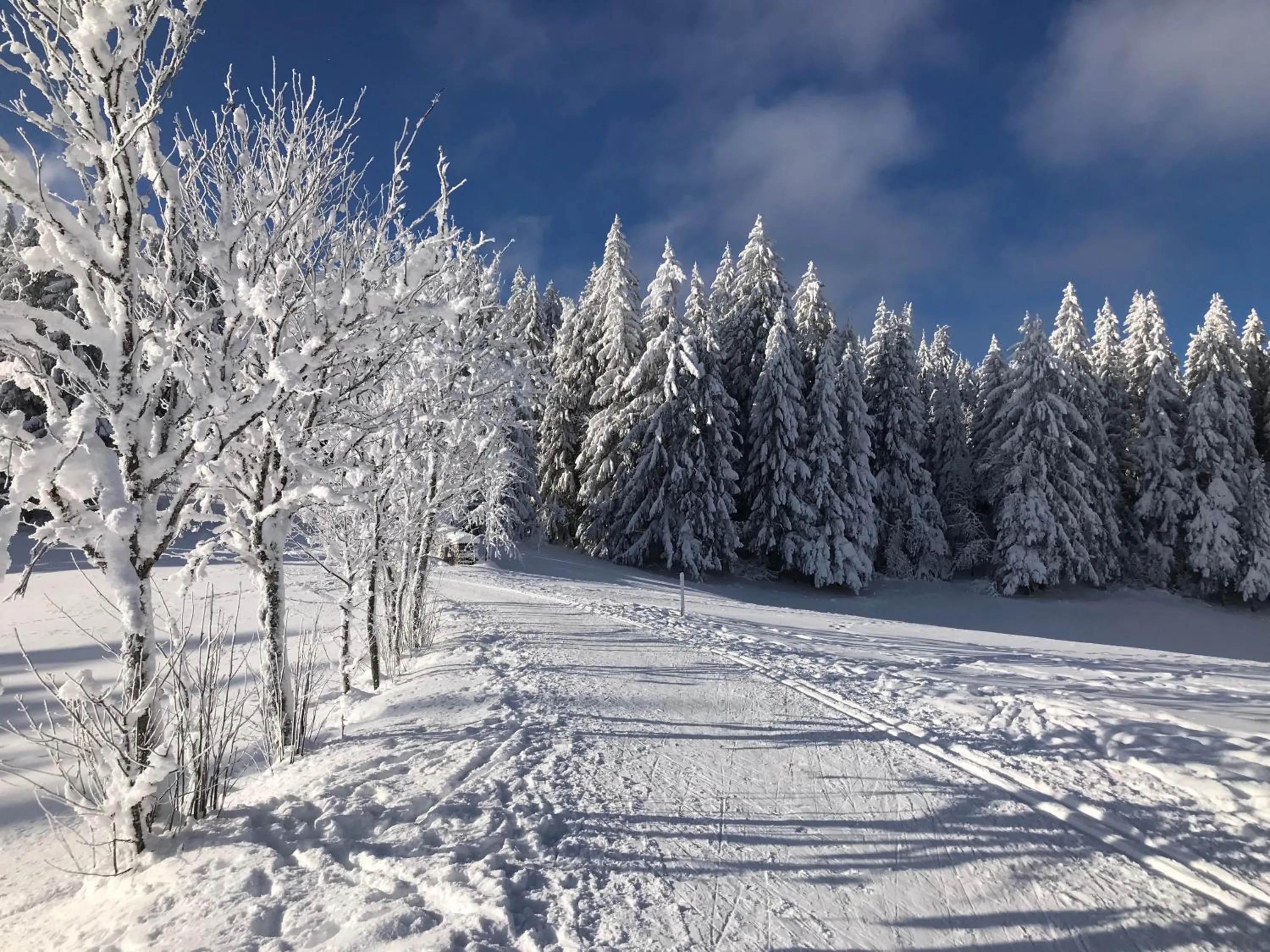 Skiing in Höhengasthaus Kolmenhof an der Donauquelle