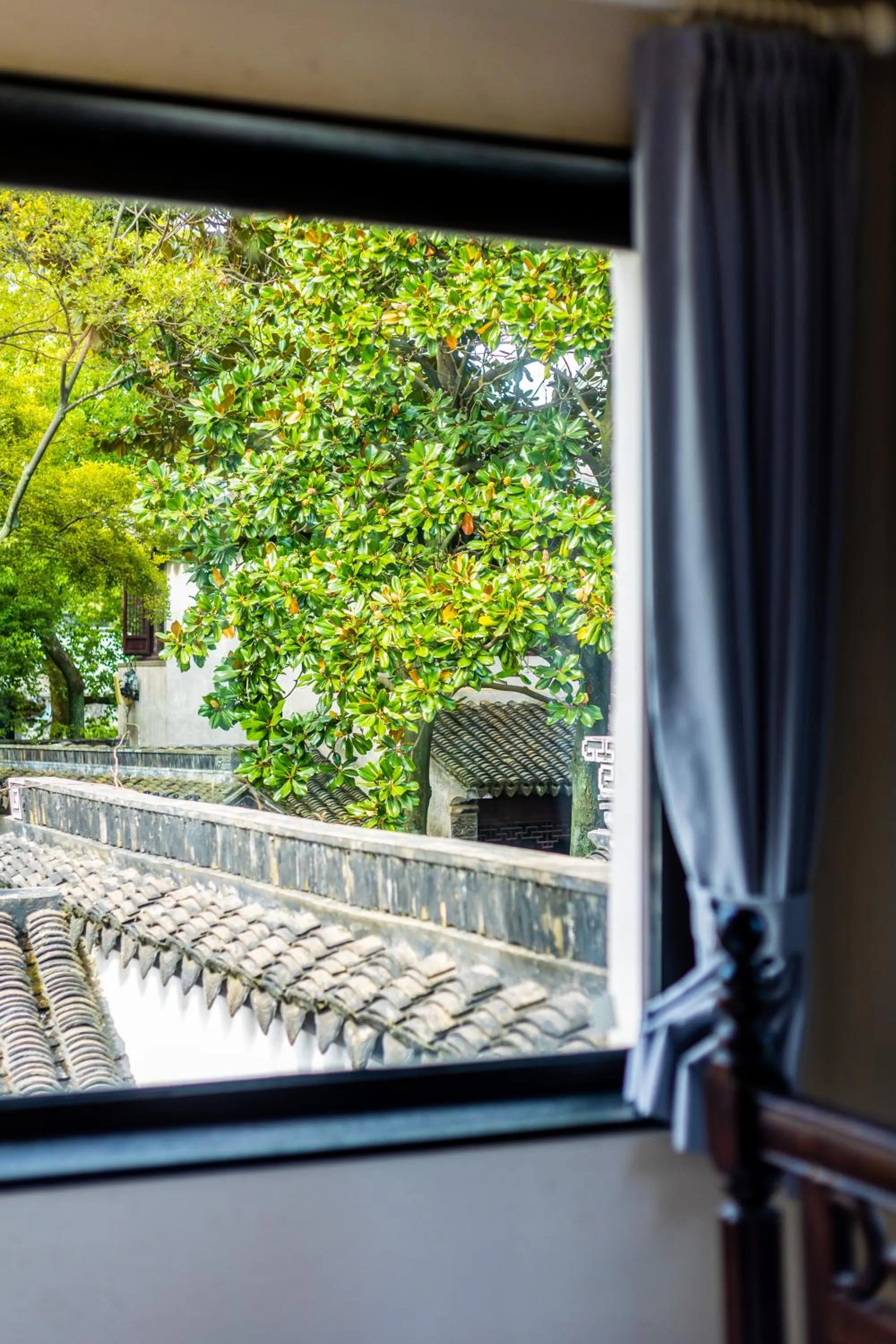 View (from property/room) in Tongli 1917 Best South Inn