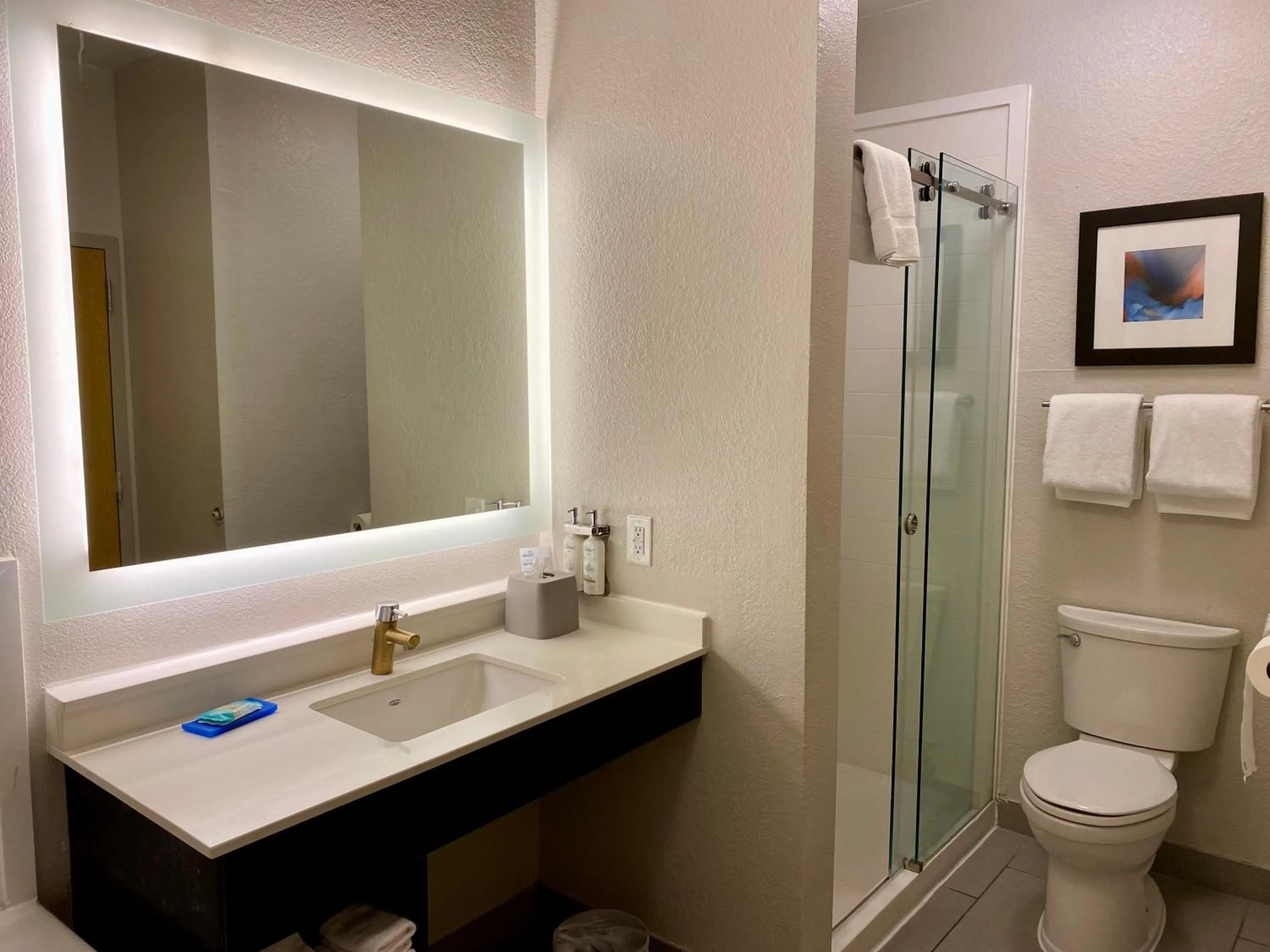 Bathroom in Holiday Inn Express Metropolis by IHG