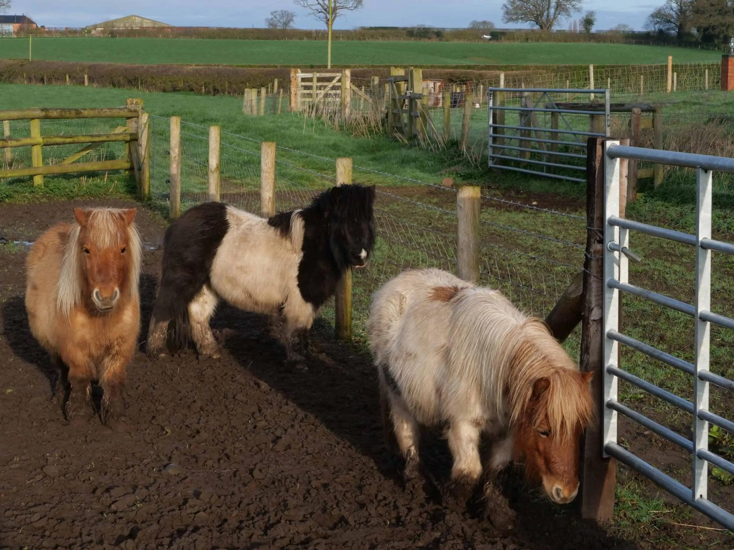 The Moorhead Bed & Breakfast