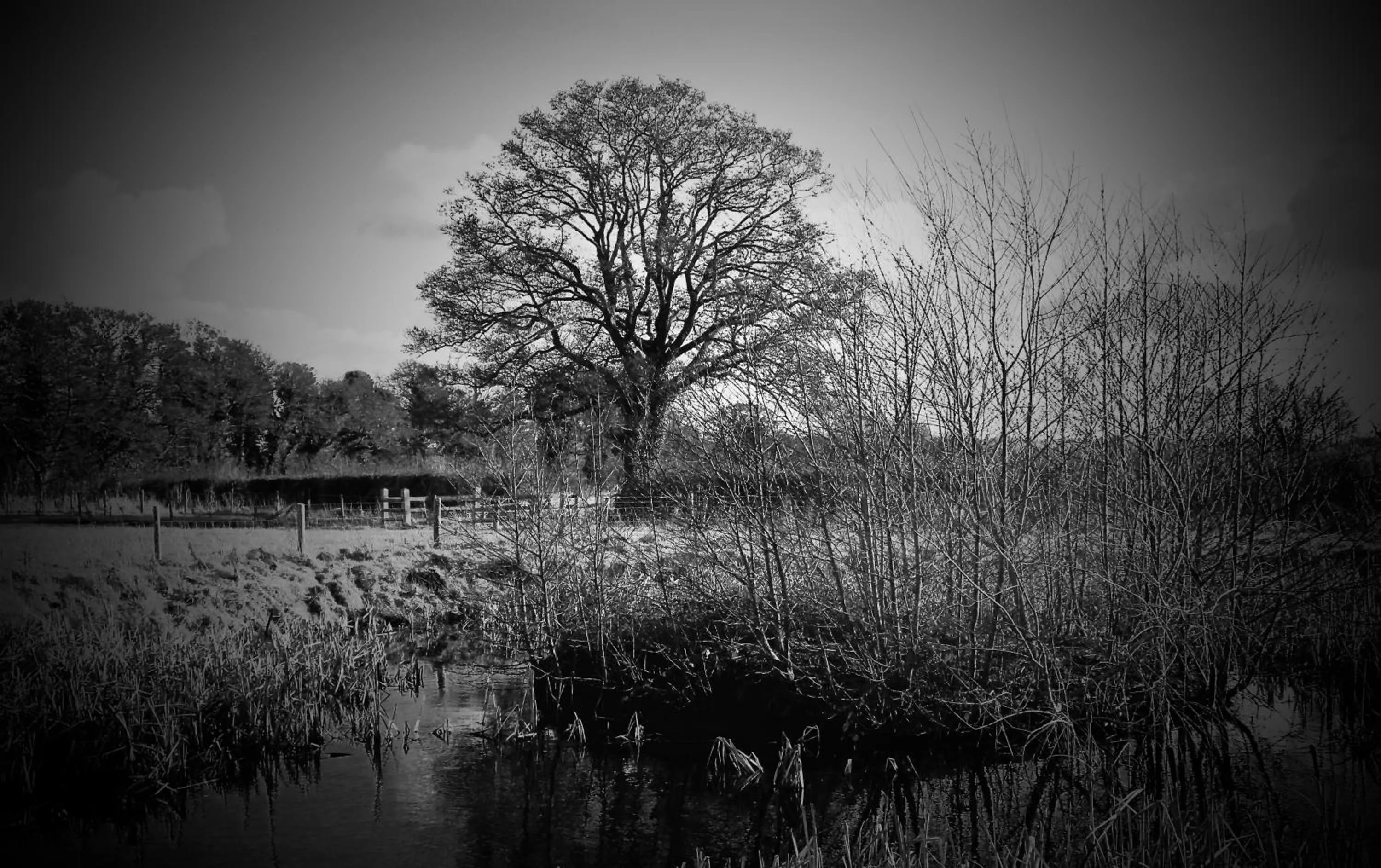 Other in The Moorhead Bed & Breakfast