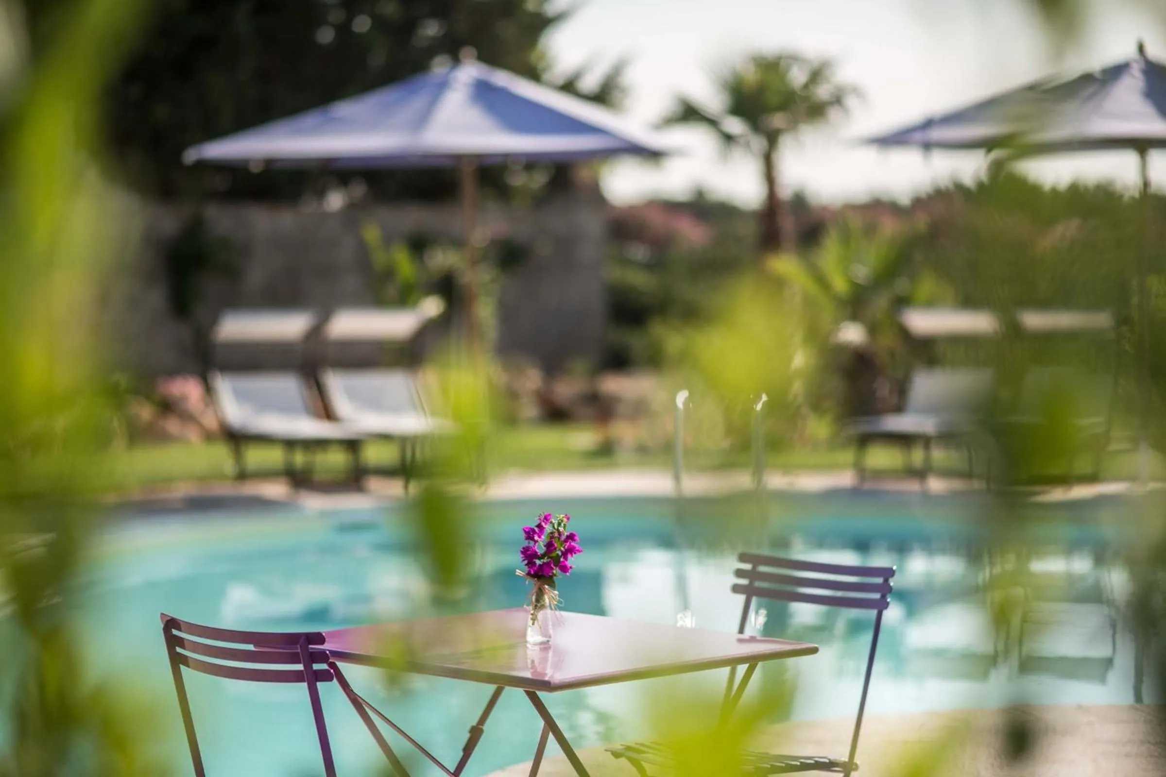 Swimming pool in Le Scuderie - Castello Monaci