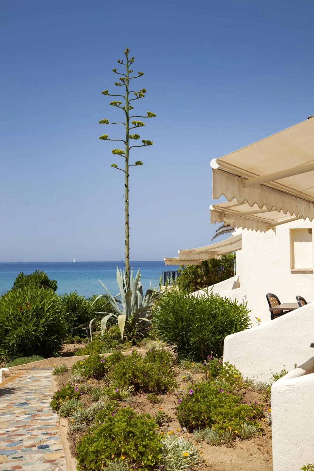 Garden view in Hôtel et Résidence Ta Kladia - Omigna