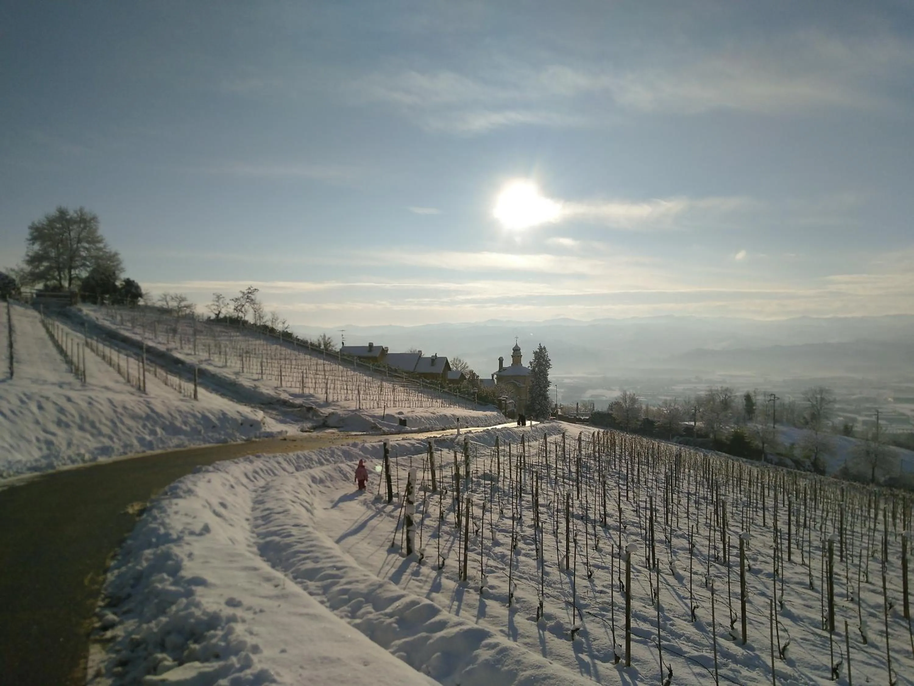 Natural landscape in Greeneria