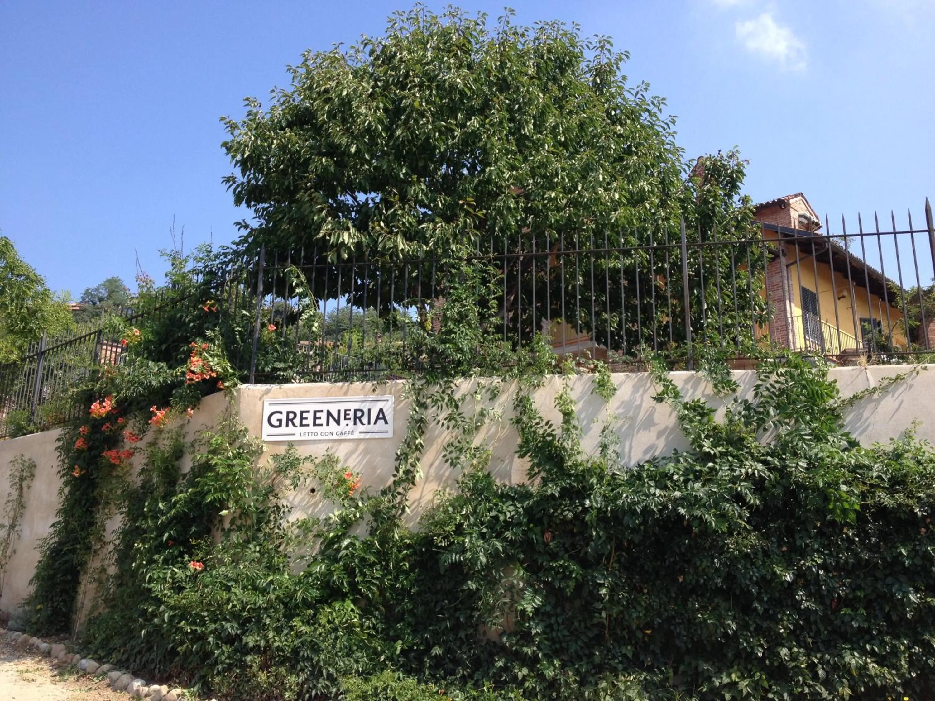 Property building in Greeneria