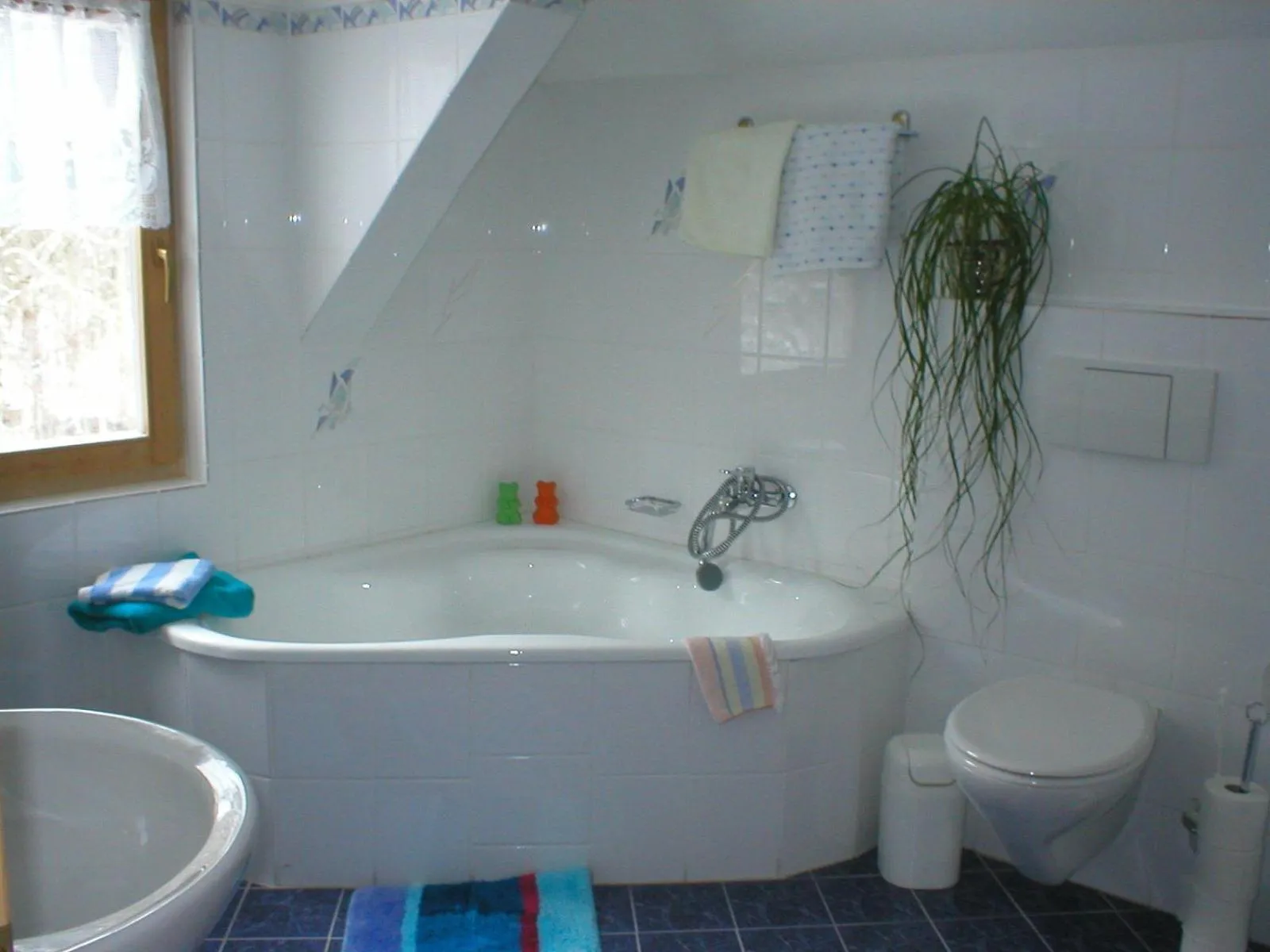 Day in Ferienhotel Barmsee