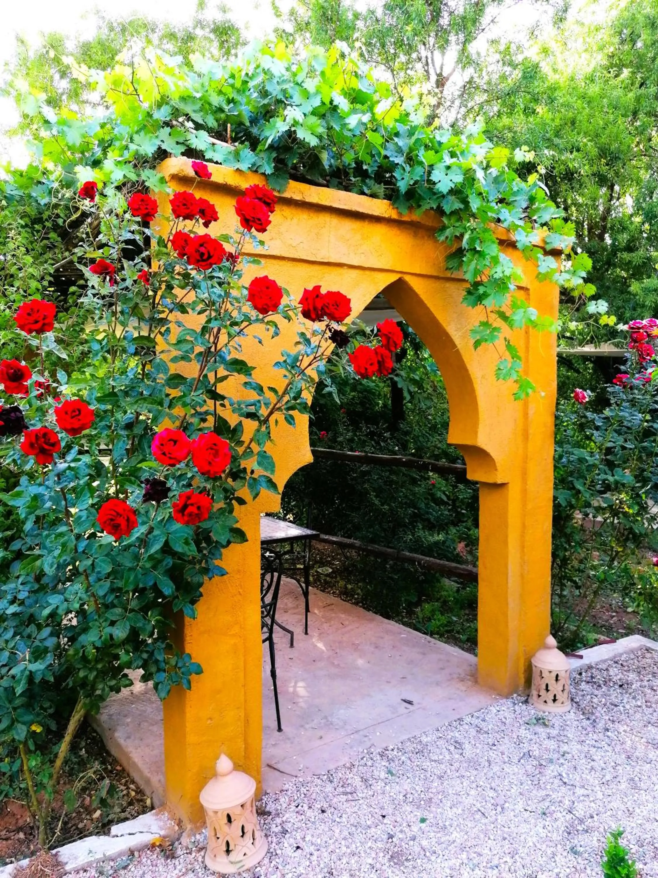 Garden in Riad Tazawa
