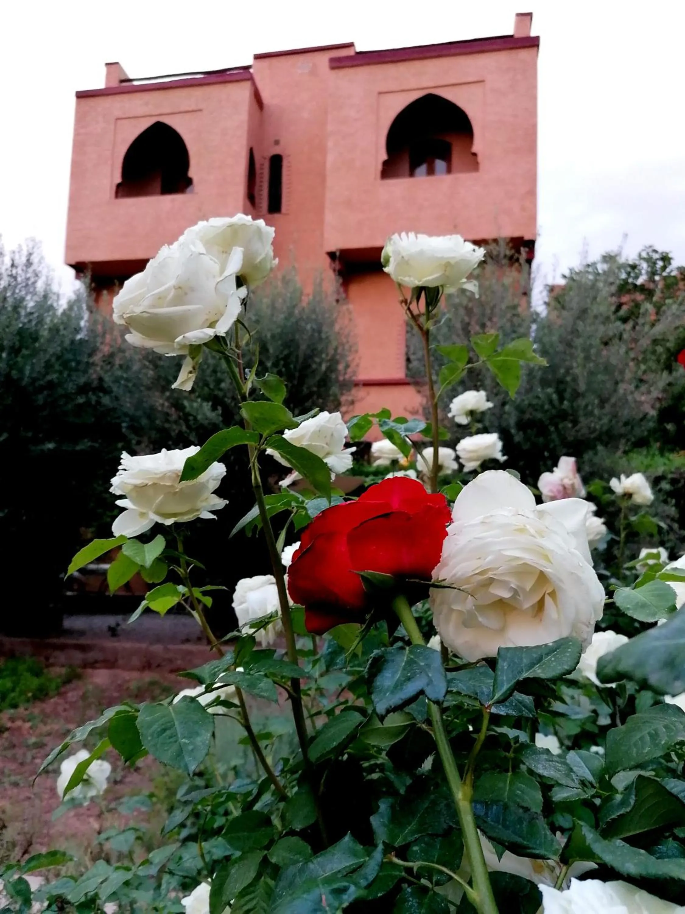 Property building in Riad Tazawa