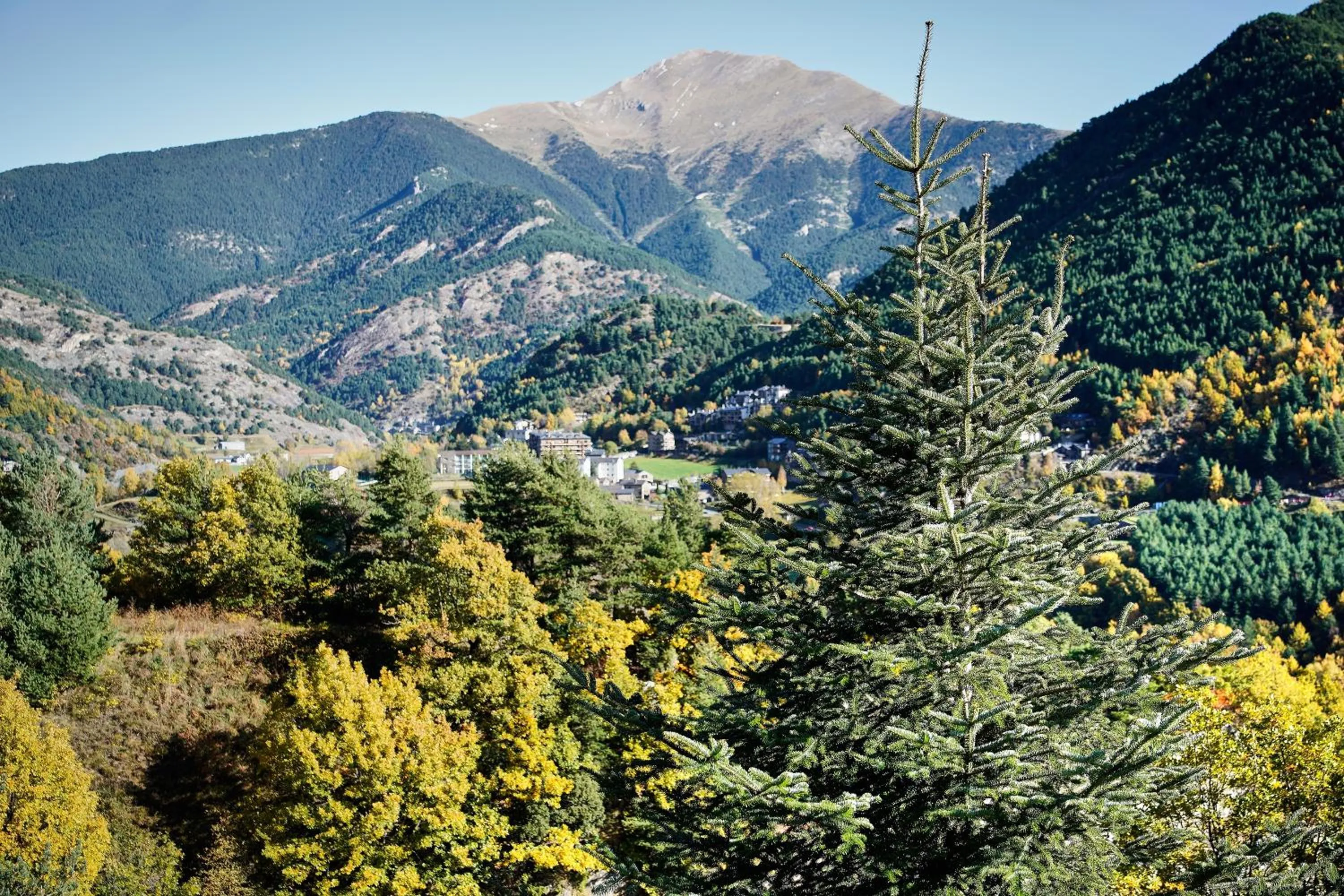 Natural landscape in Hotel La Burna Panoràmic