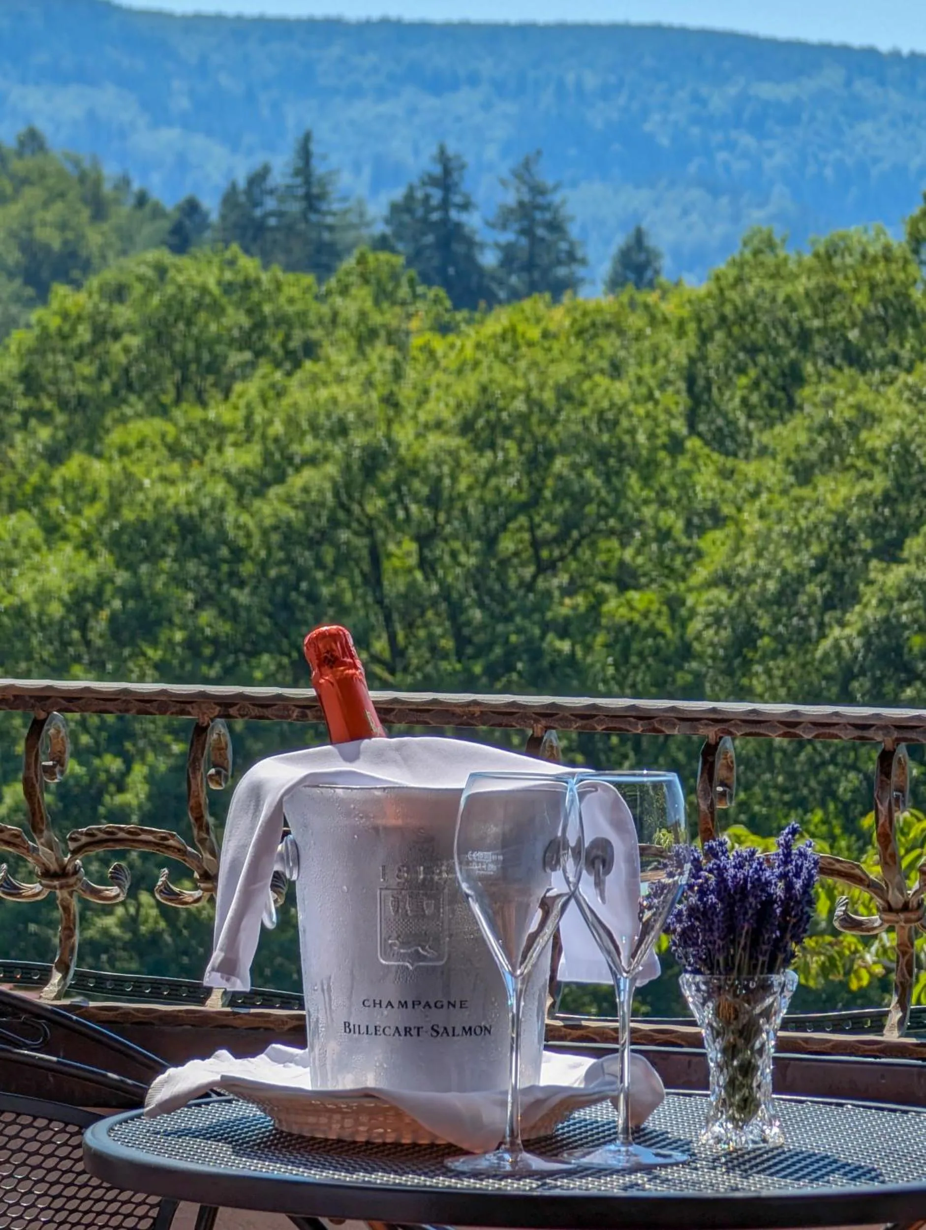 Balcony/Terrace in Hotel Restaurant Vinothek LAMM