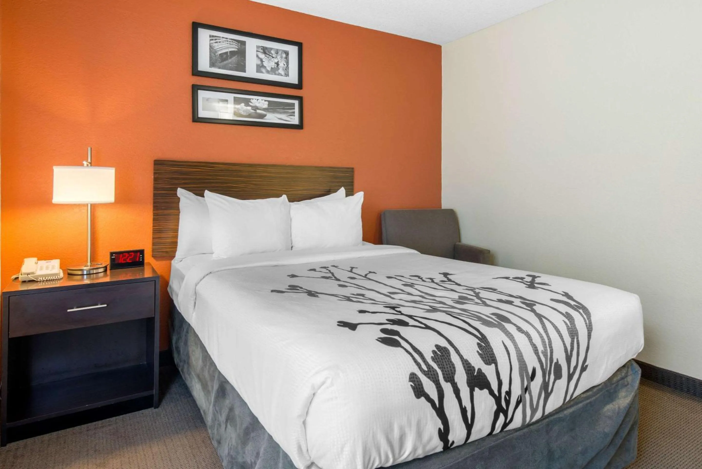 Bedroom, Bed in Sleep Inn Sarasota North