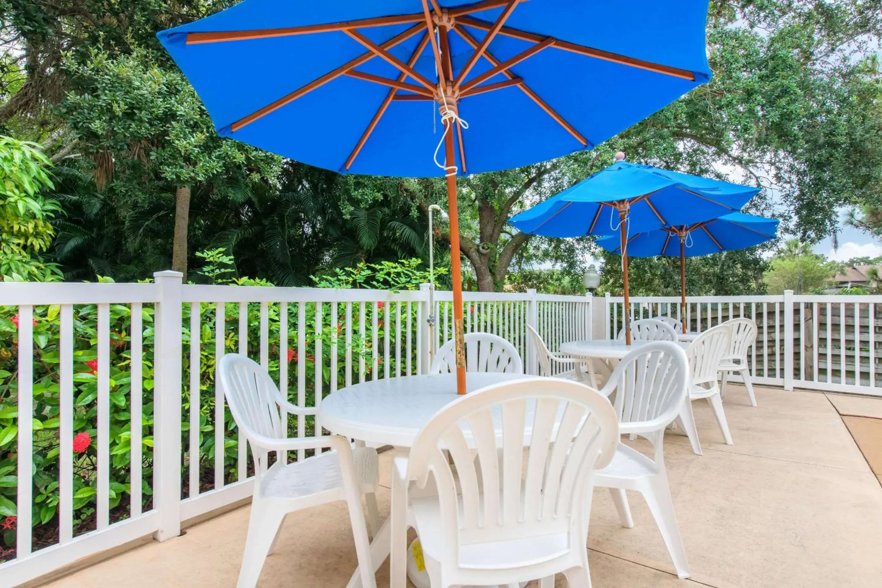 Swimming pool in Sleep Inn Sarasota North Swimming pool in Sleep Inn Sarasota North