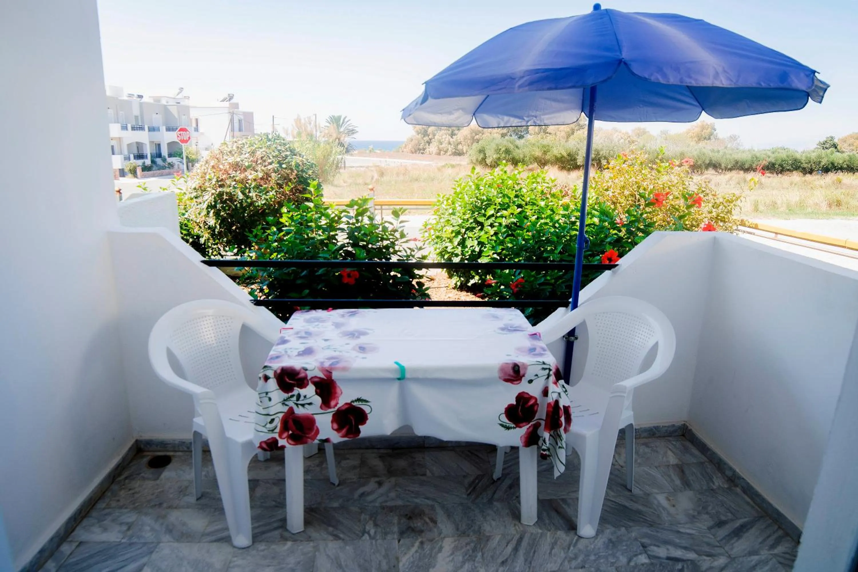 Balcony/Terrace in Yiannis Apartments