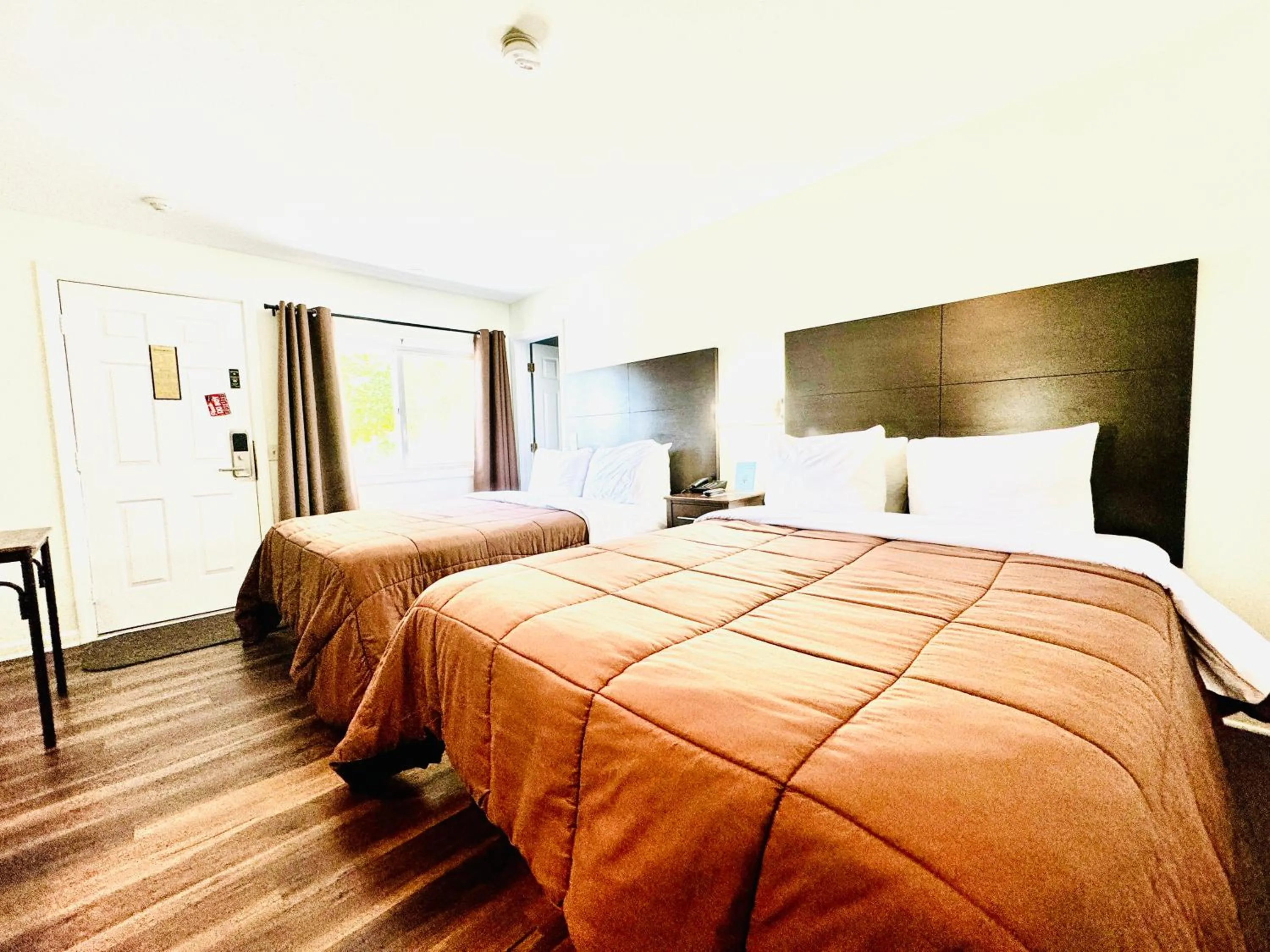 Photo of the whole room, Bed in Blue Spruce