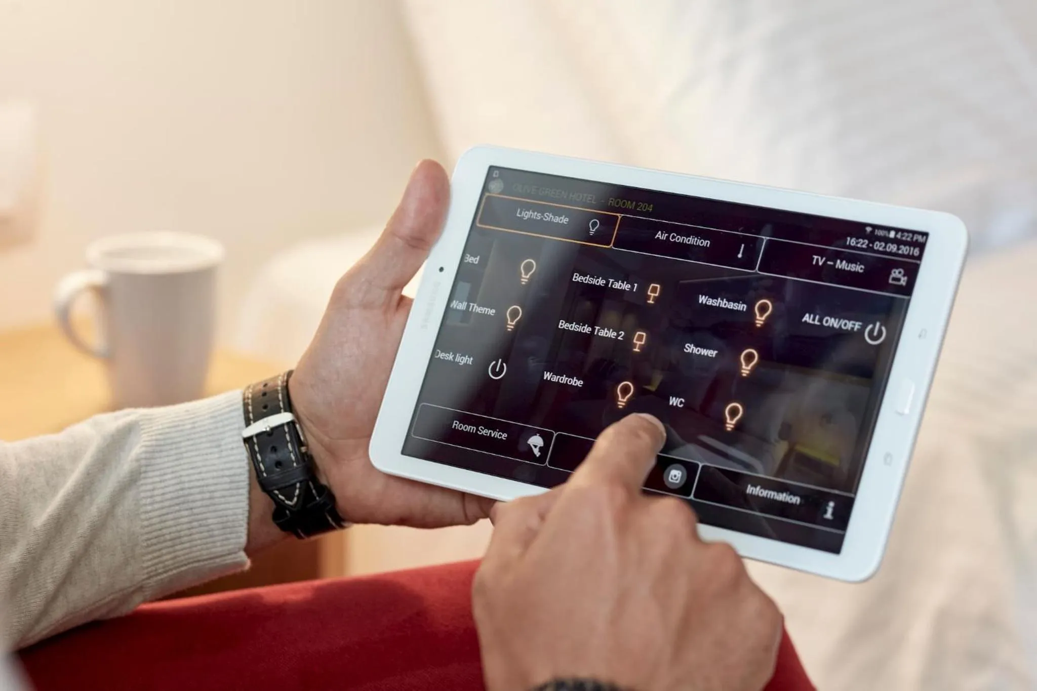 TV and multimedia in Olive Green Hotel