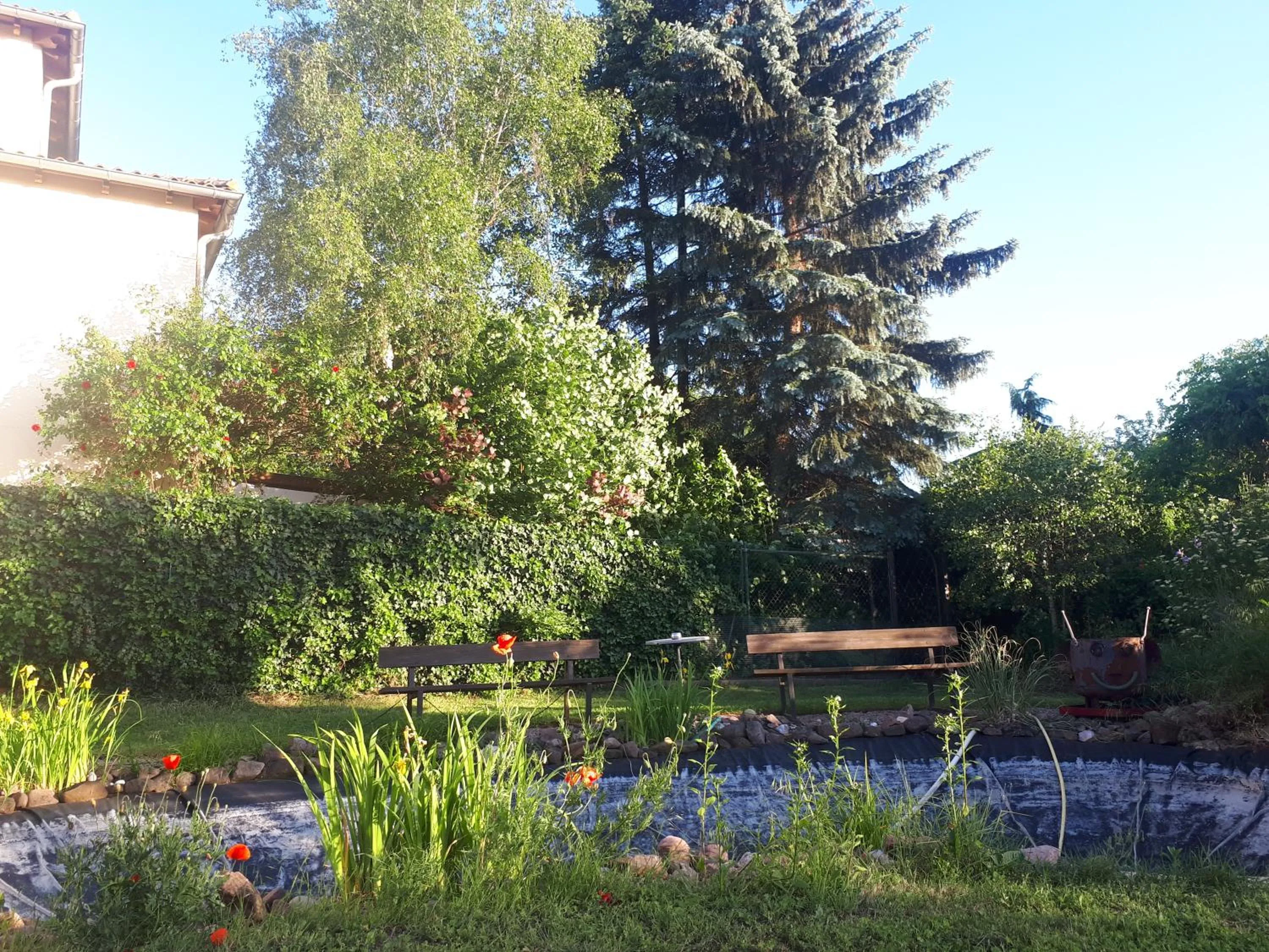 Garden in Mediterran Hotel Juwel