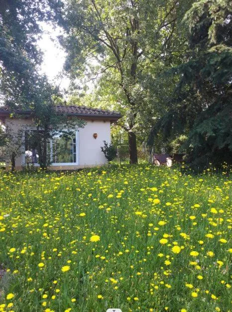 Garden in Mediterran Hotel Juwel