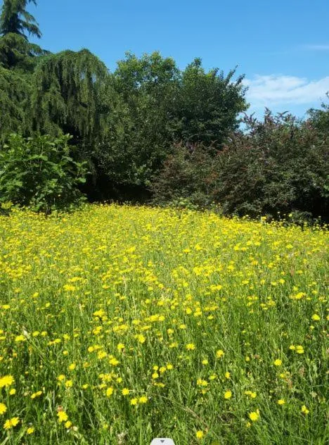 Garden in Mediterran Hotel Juwel