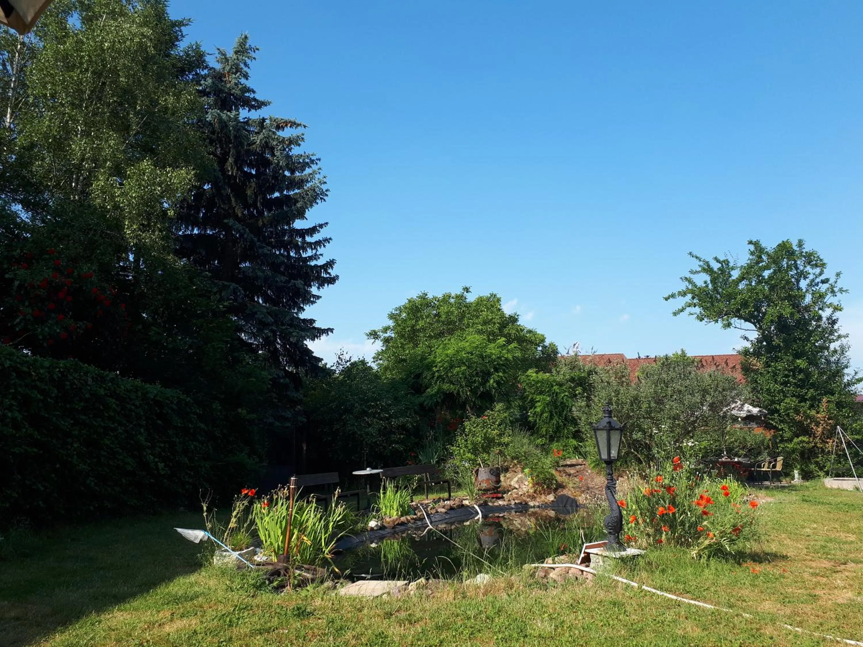 Garden in Mediterran Hotel Juwel