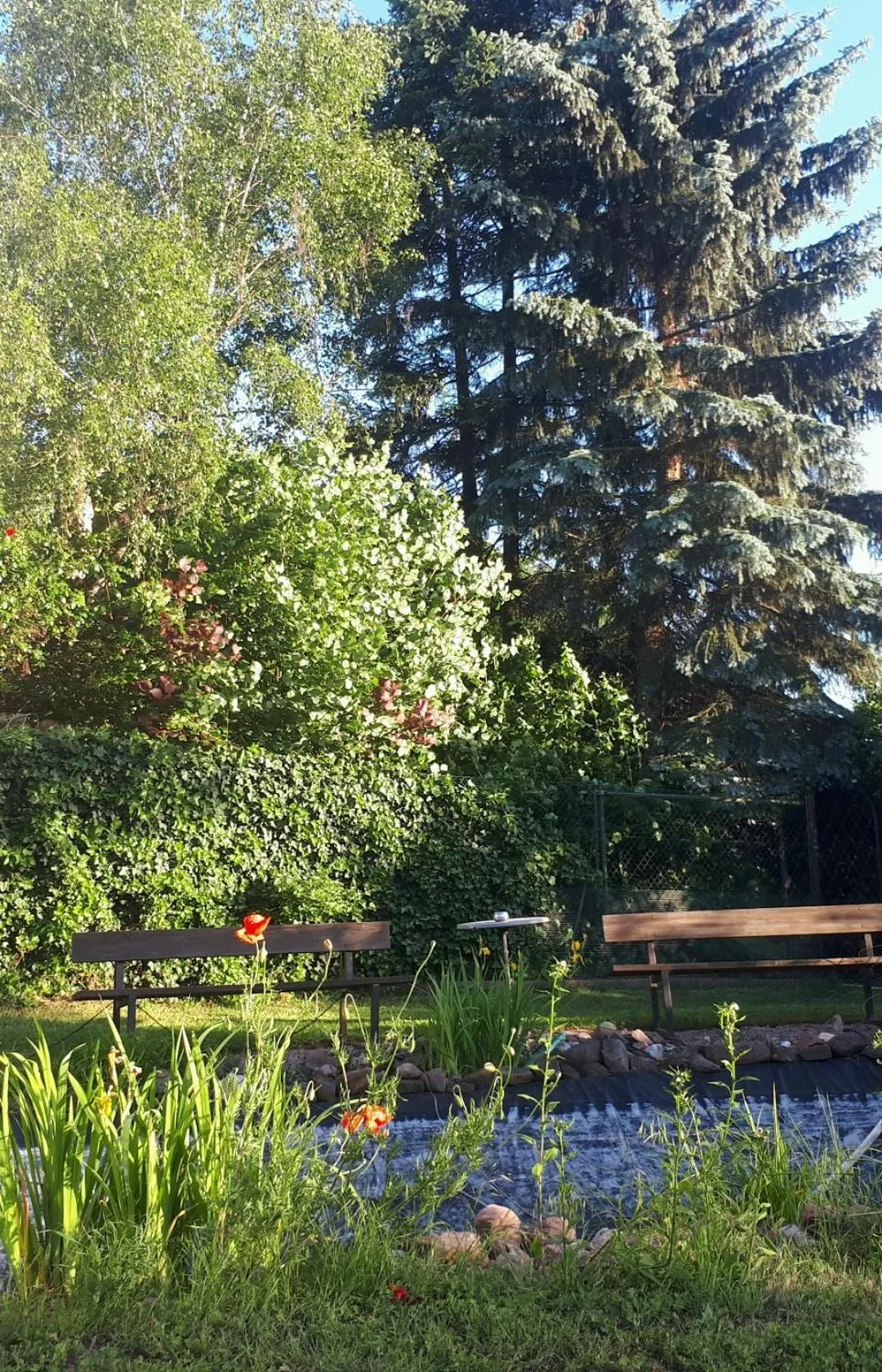 Garden in Mediterran Hotel Juwel