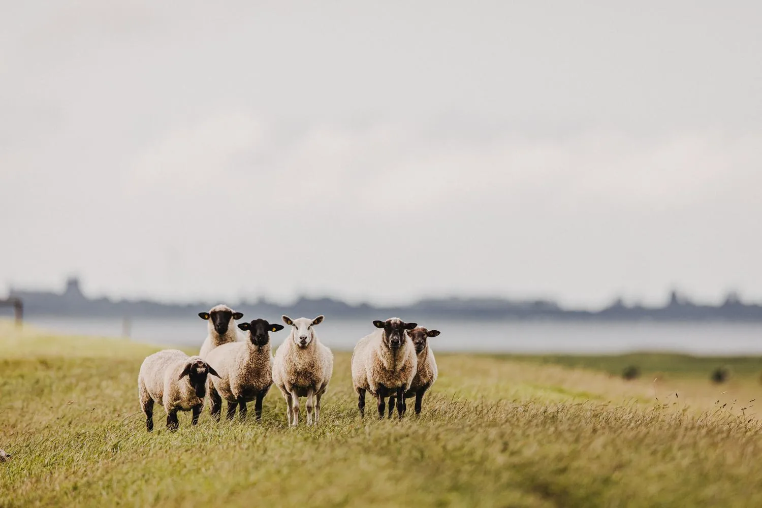 Area and facilities in Hotel Graf Bentinck