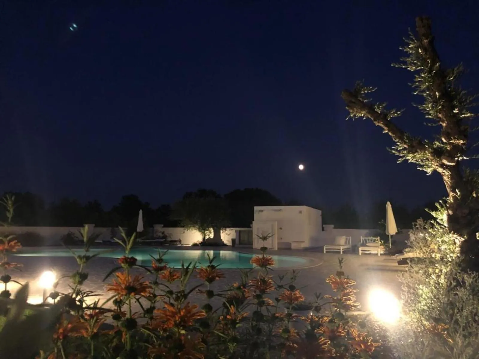 Swimming pool in Trulli IsAgo