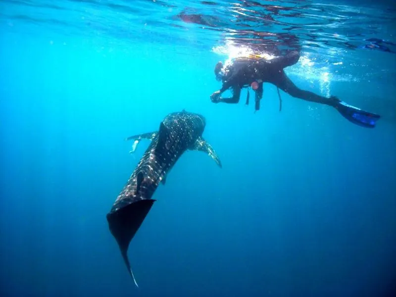 Other in Kura Kura Resort