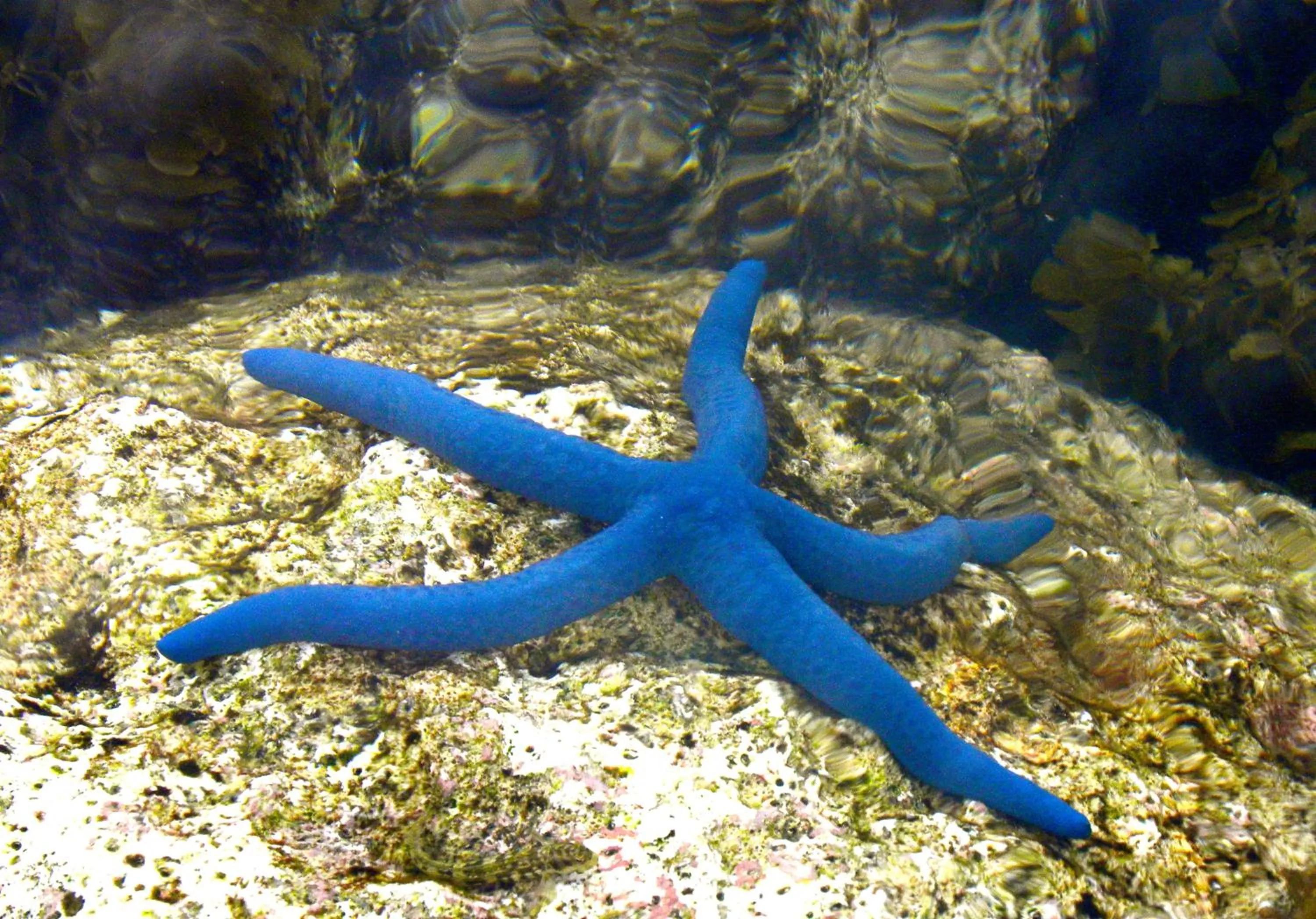 Other in Kura Kura Resort