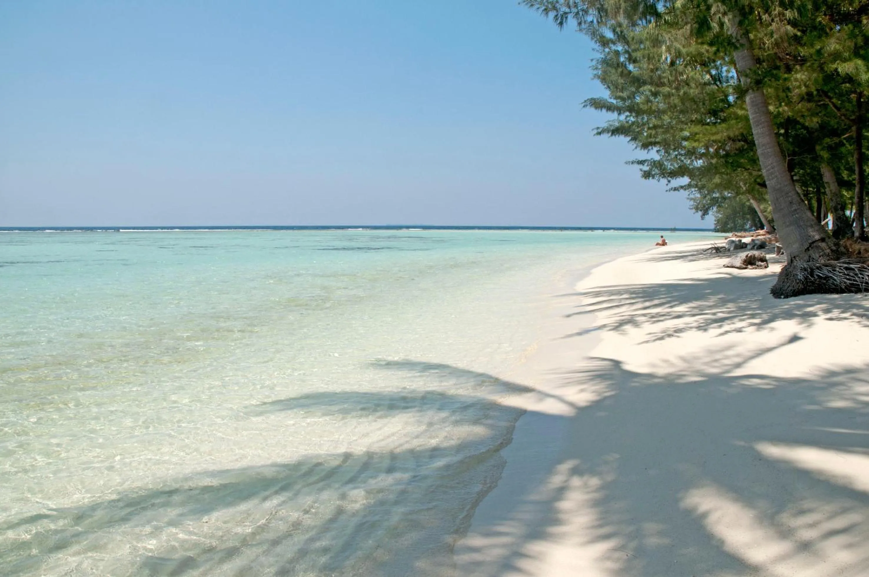 Other in Kura Kura Resort