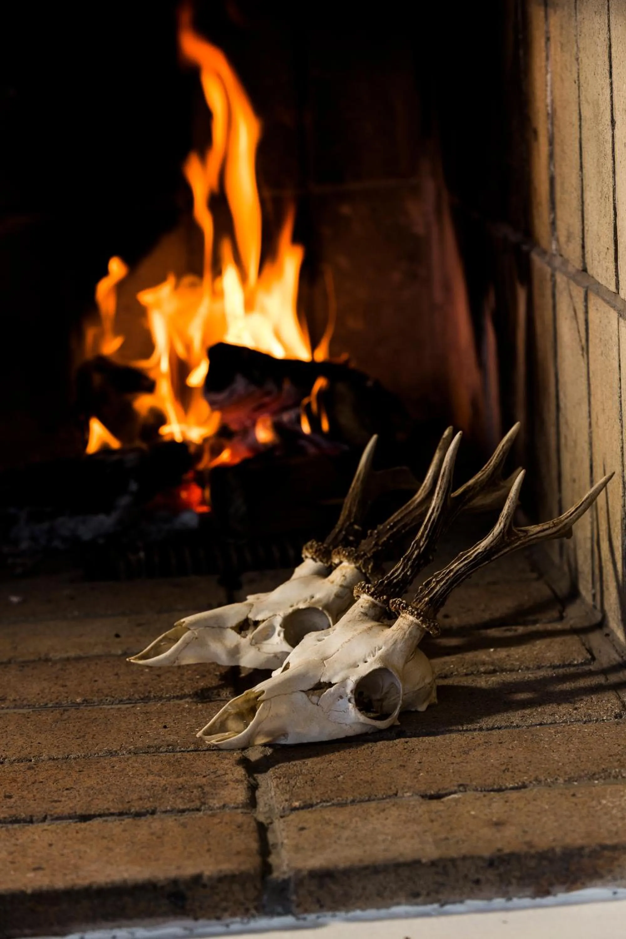 Other in Filskov Kro