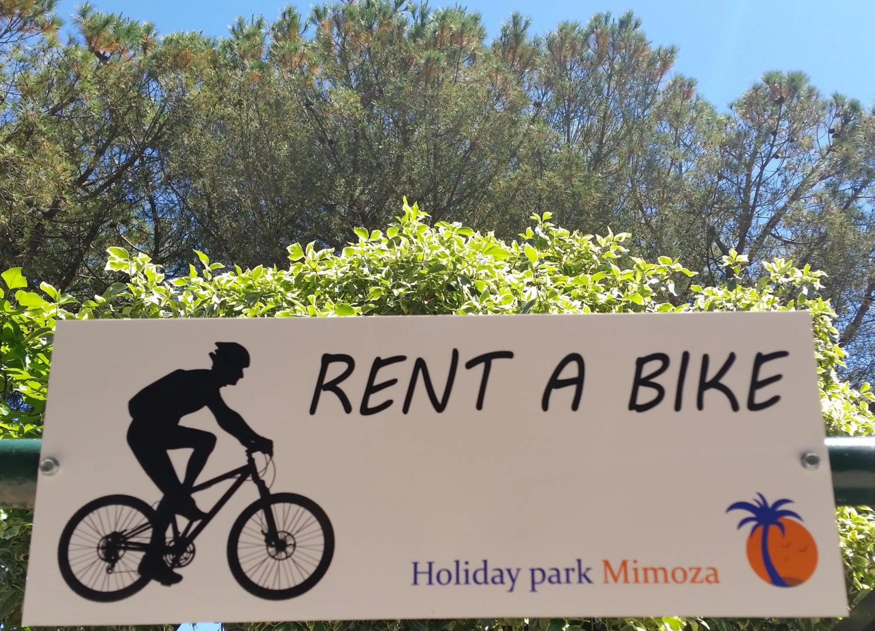 Cycling in Holiday Park Mimoza