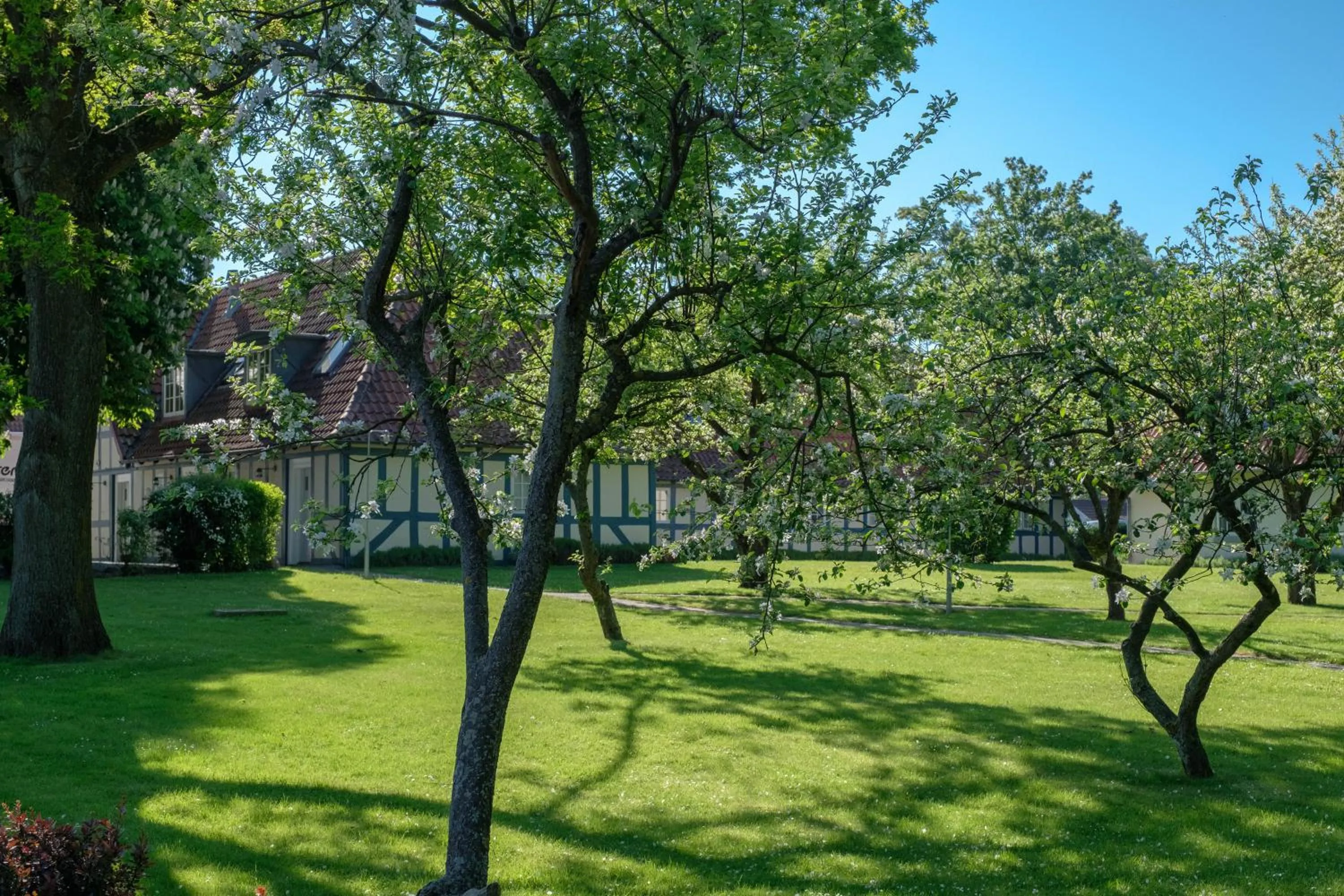 Garden in Hotel Knudsens Gaard