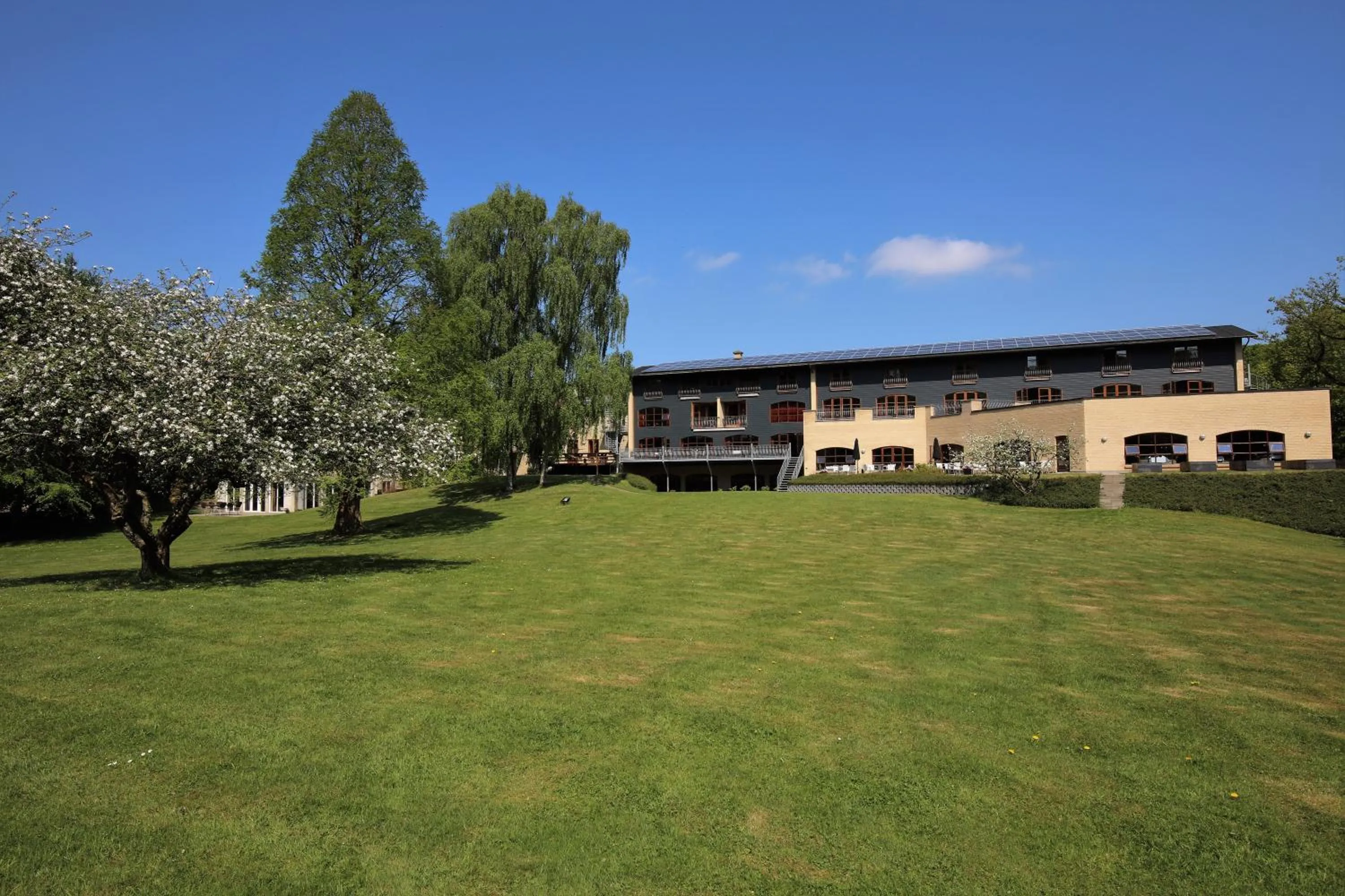 Garden in Hotel Amerika