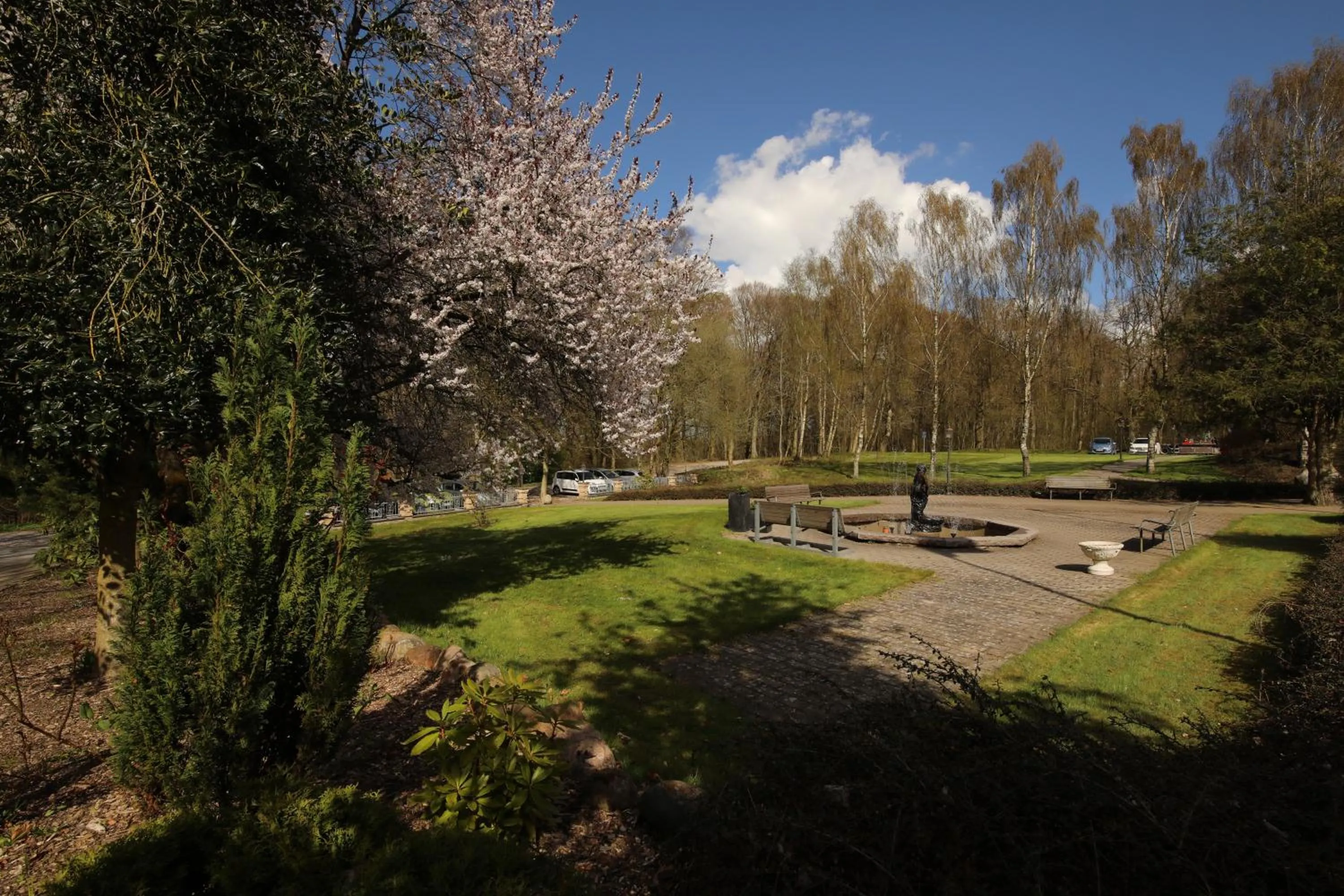 Garden in Hotel Amerika