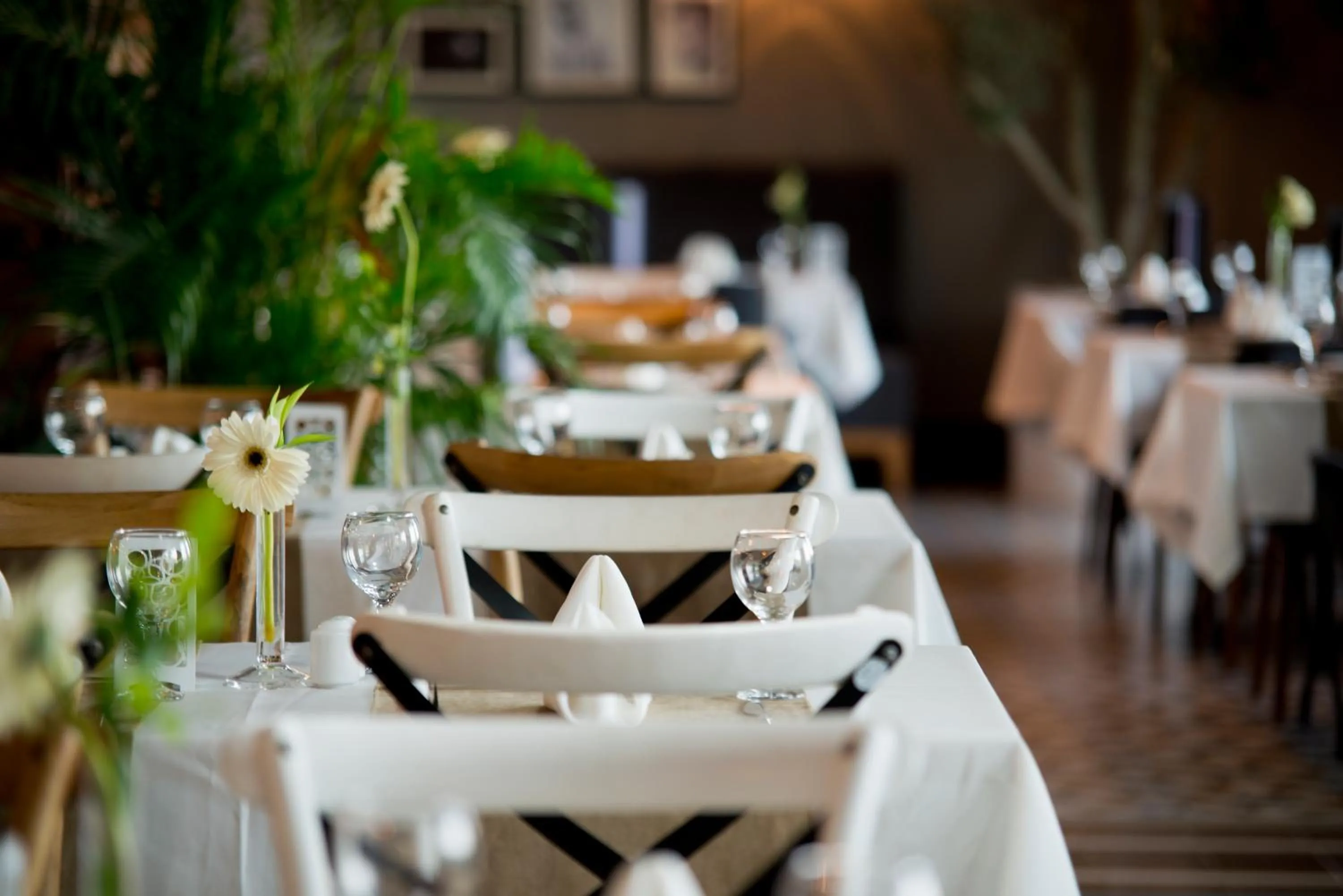 Restaurant/places to eat in Selene Beach & Spa Hotel - Adult Only - Ultra All Inclusive