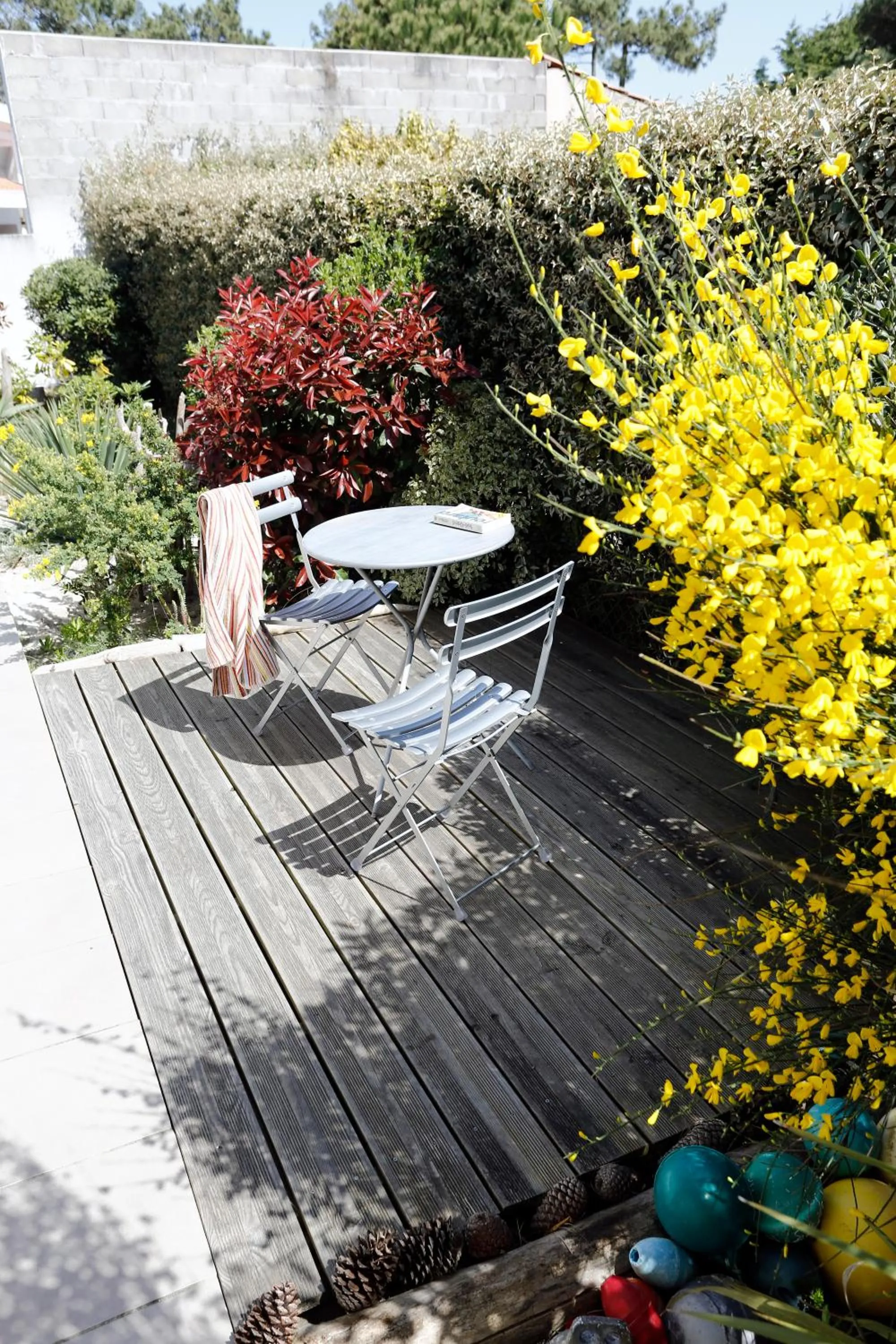 Patio in Côte et Dune