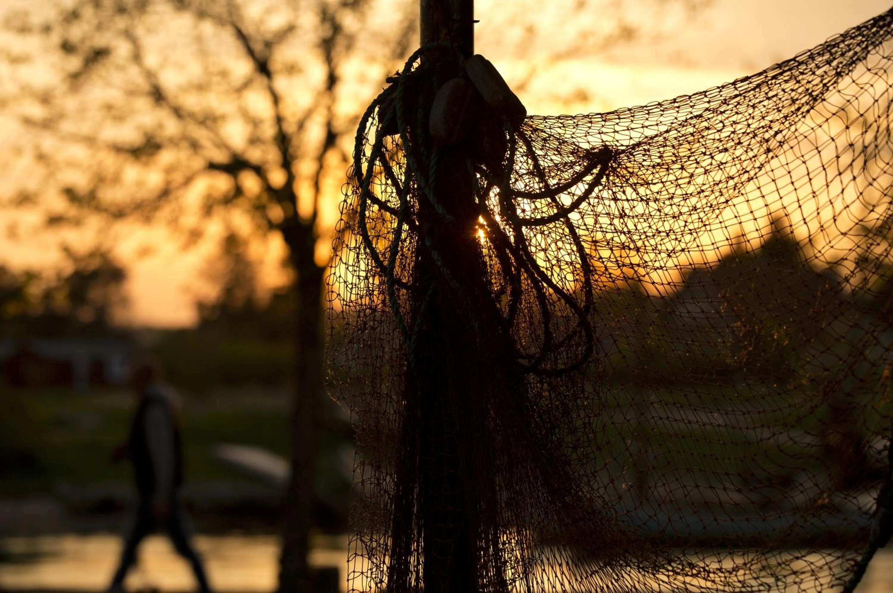 Fishing in Norsminde Kro
