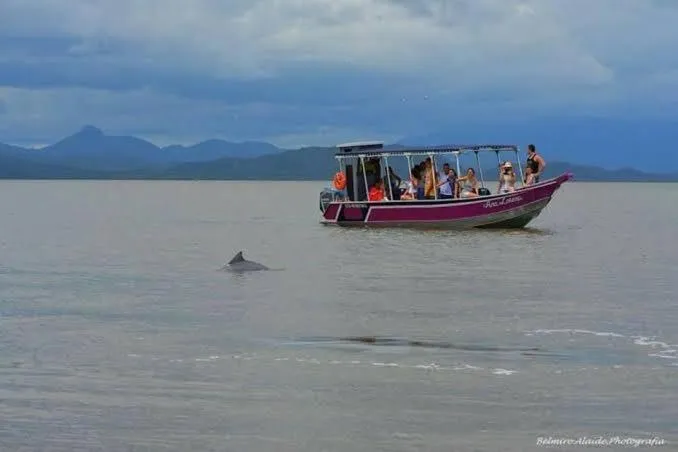 Natural landscape in Hotel Marazul