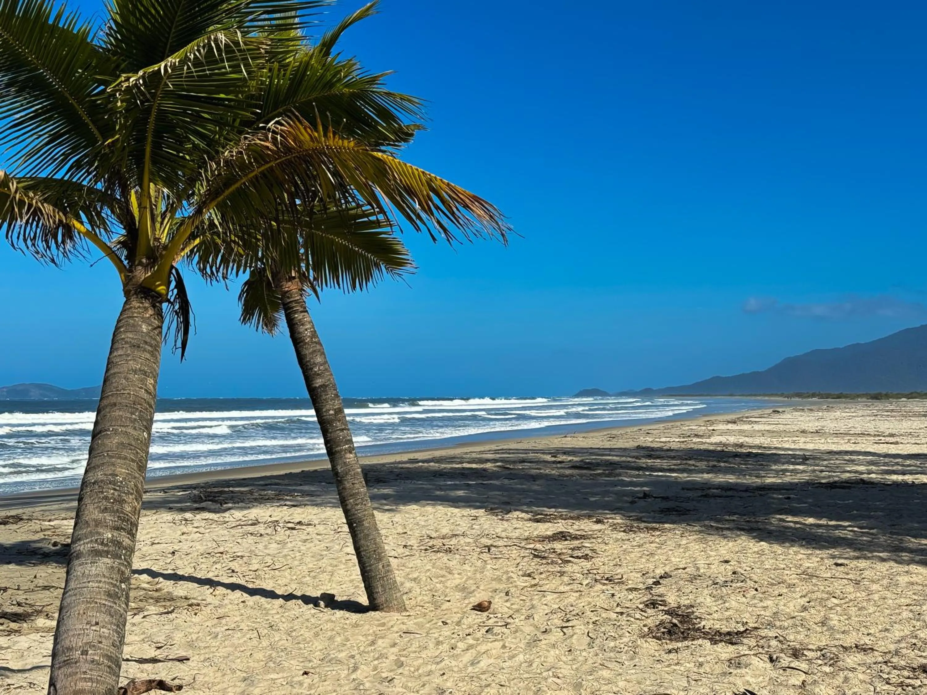 Beach in Hotel Marazul
