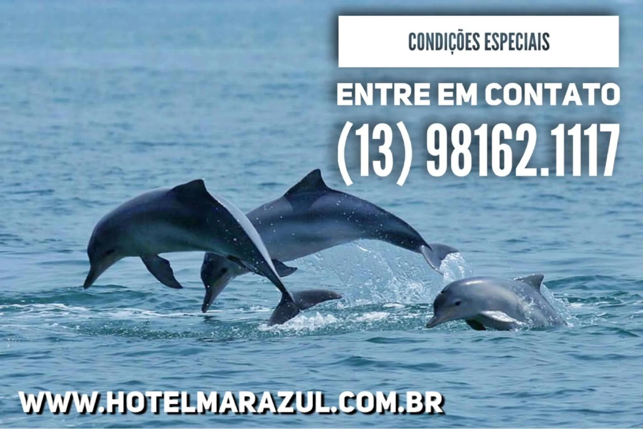 Logo/Certificate/Sign in Hotel Marazul