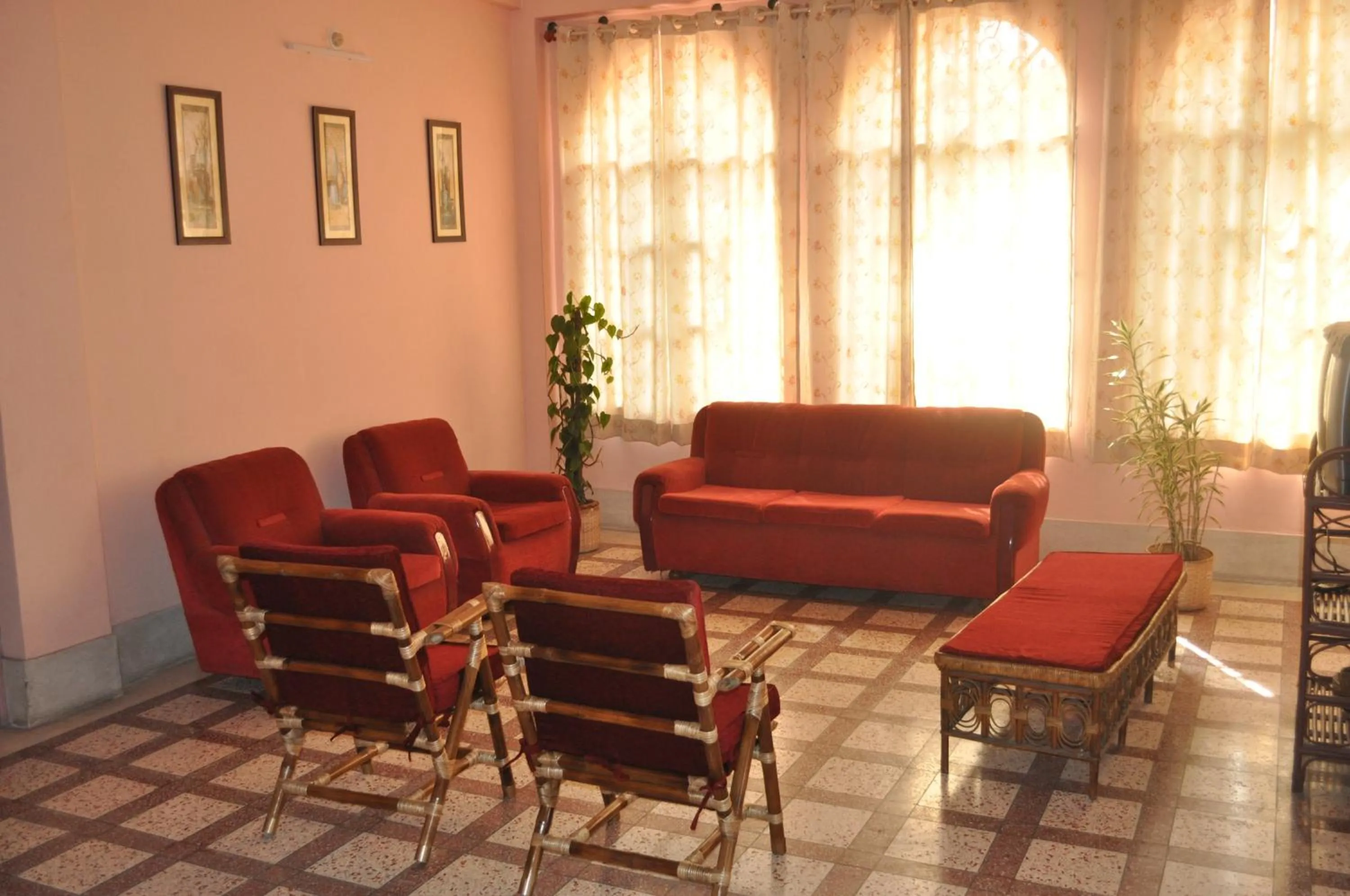 Saikia Nest the Home-stay