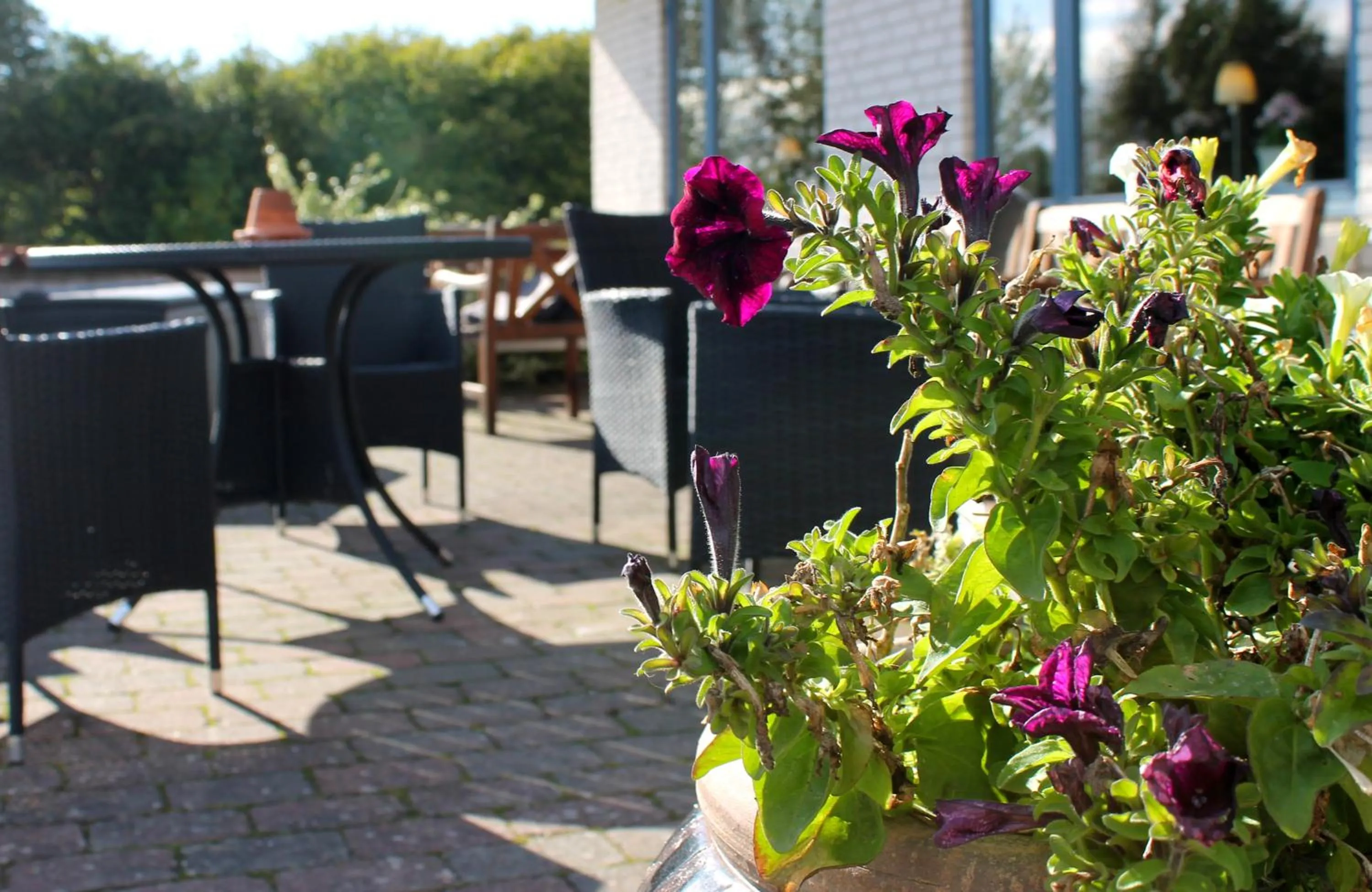 Area and facilities in Hotel Medio Fredericia